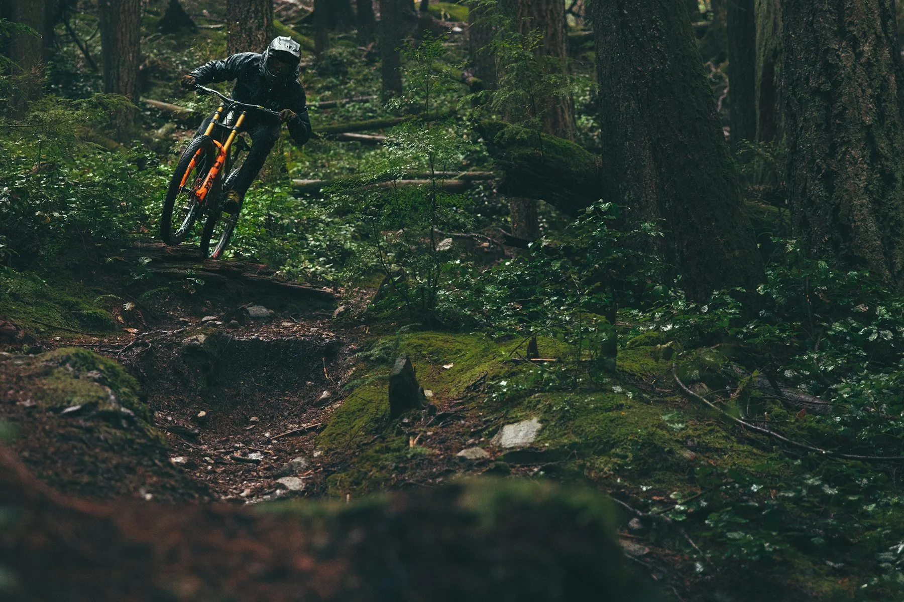 Person riding in wet forest