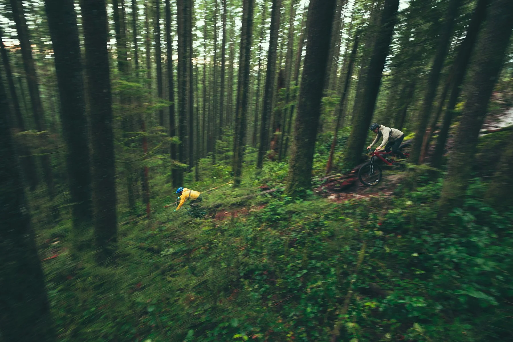 Two bikers bombing down a hill