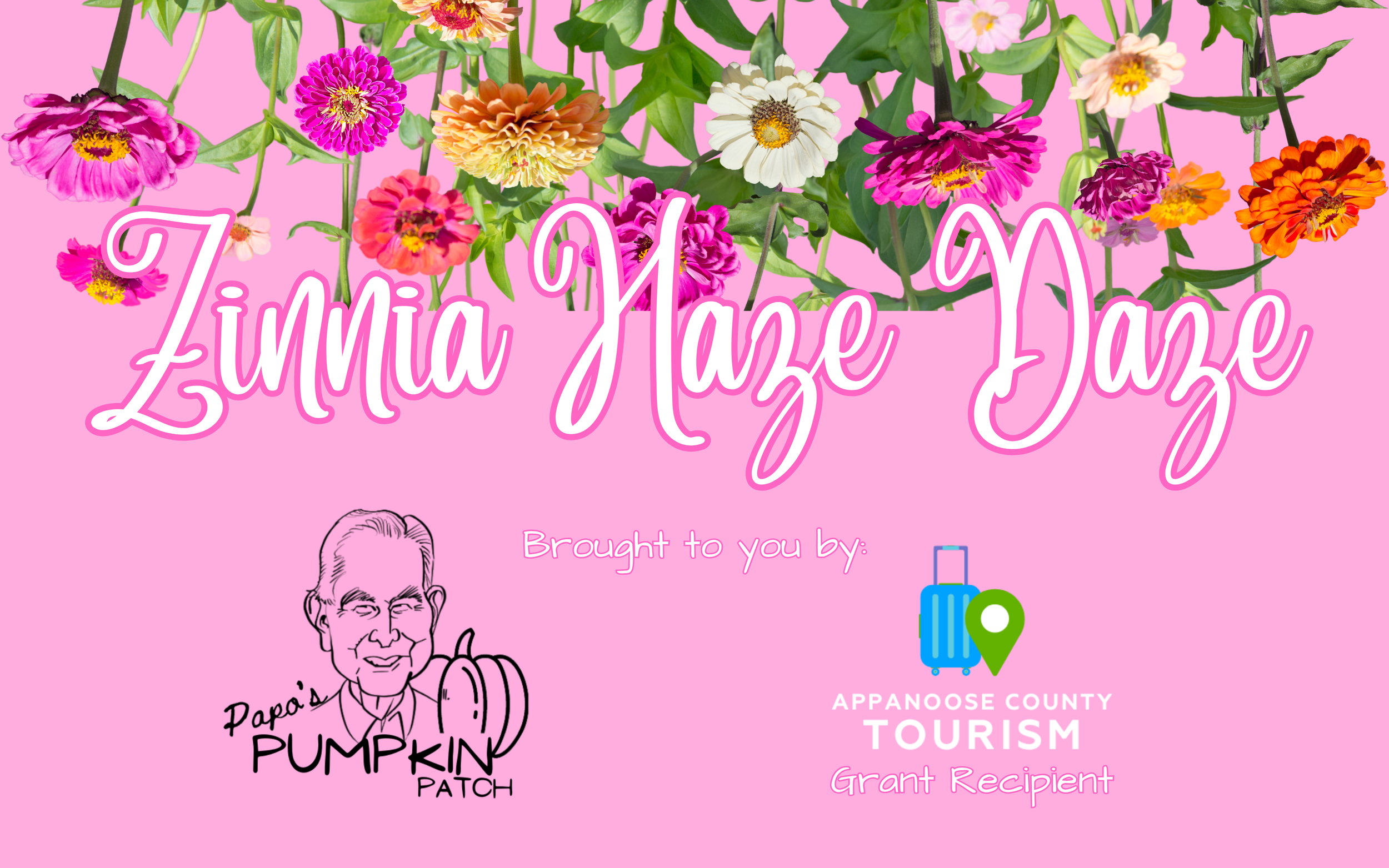 Zinnia Haze Daze (5).png