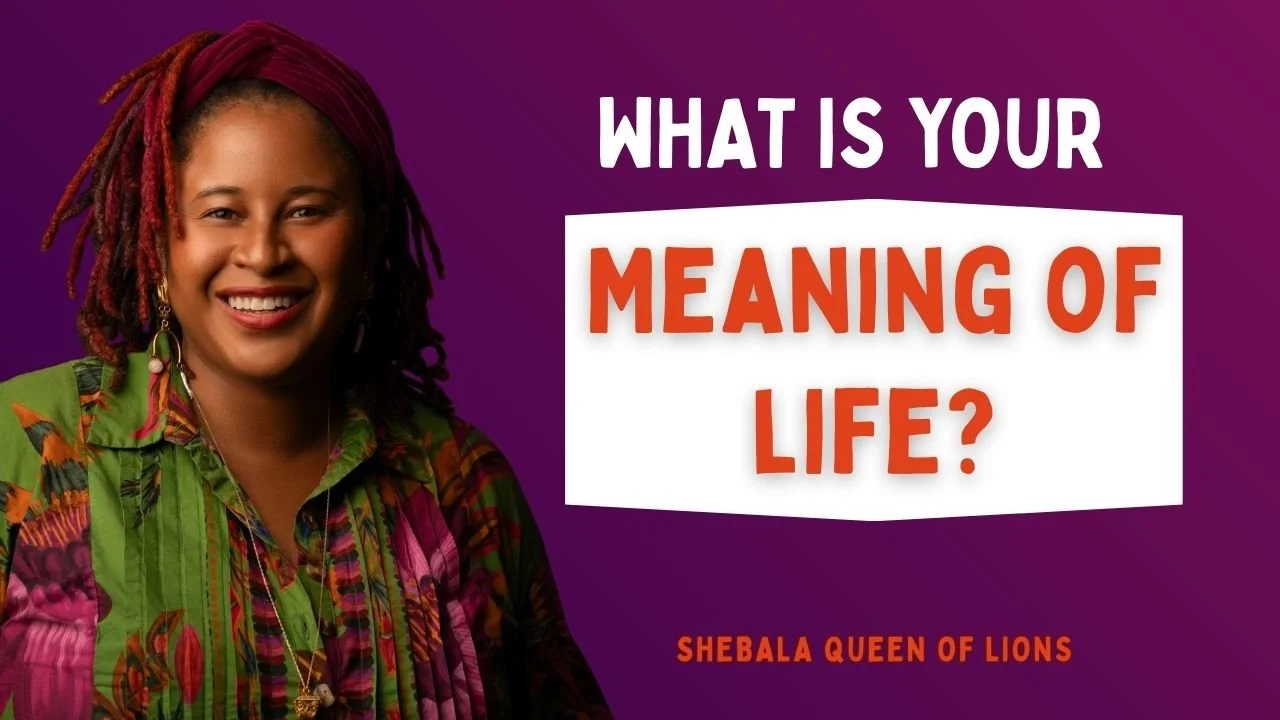 Welcome to the Prosperity Artist Podcast by Shebala Queen of Lions