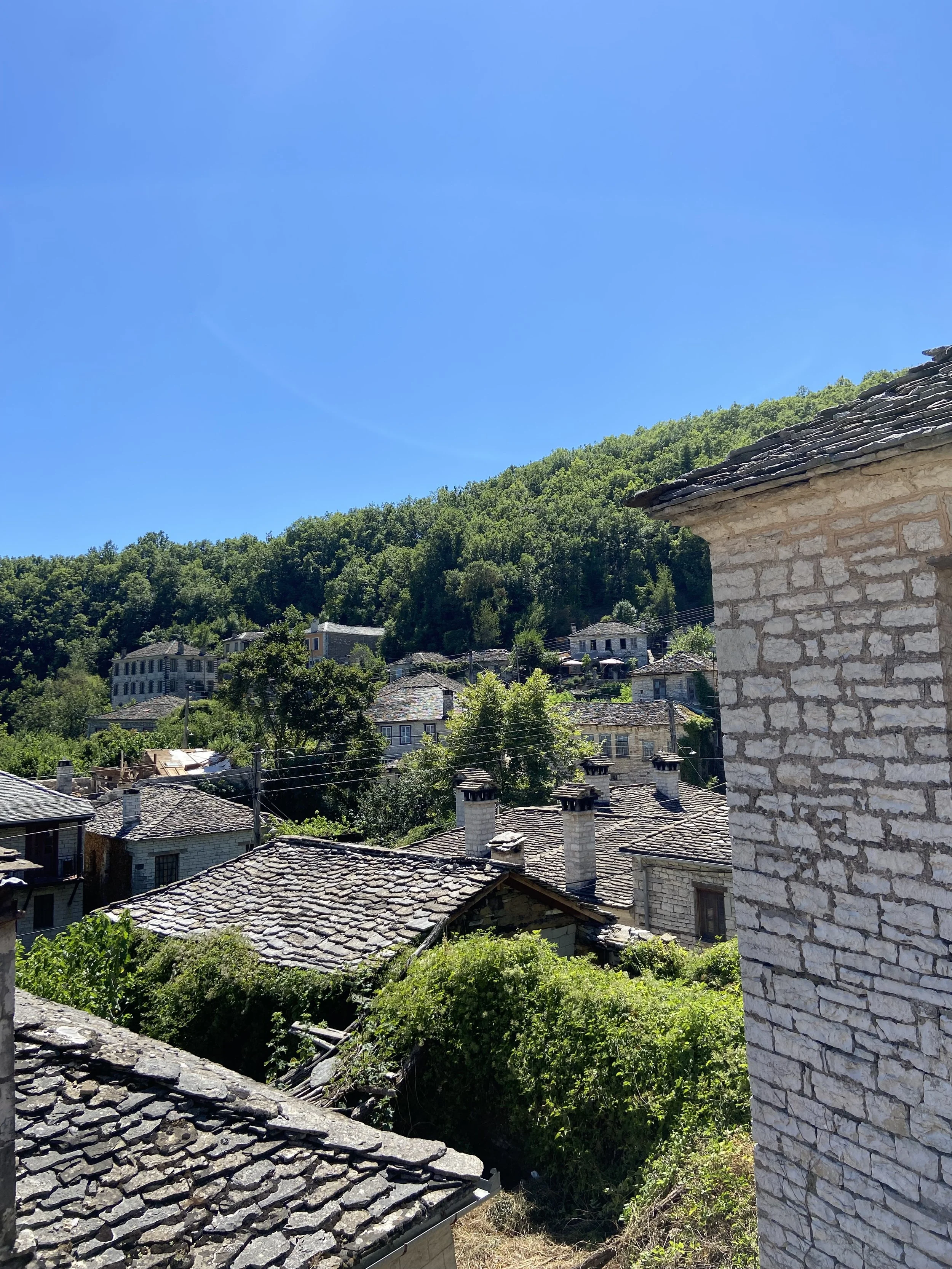 IMG_9293.jpeg