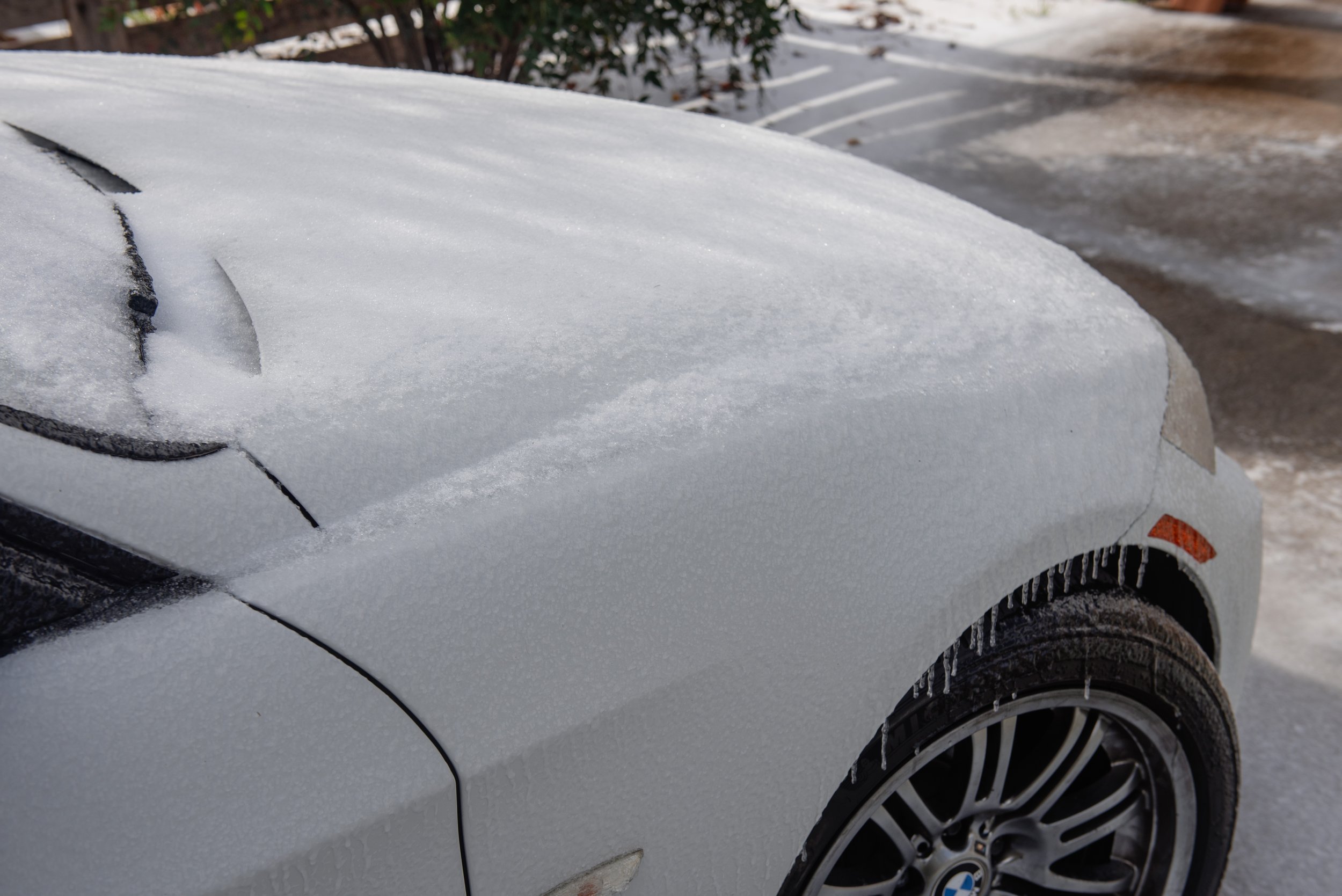 E91-Snow-07.jpg
