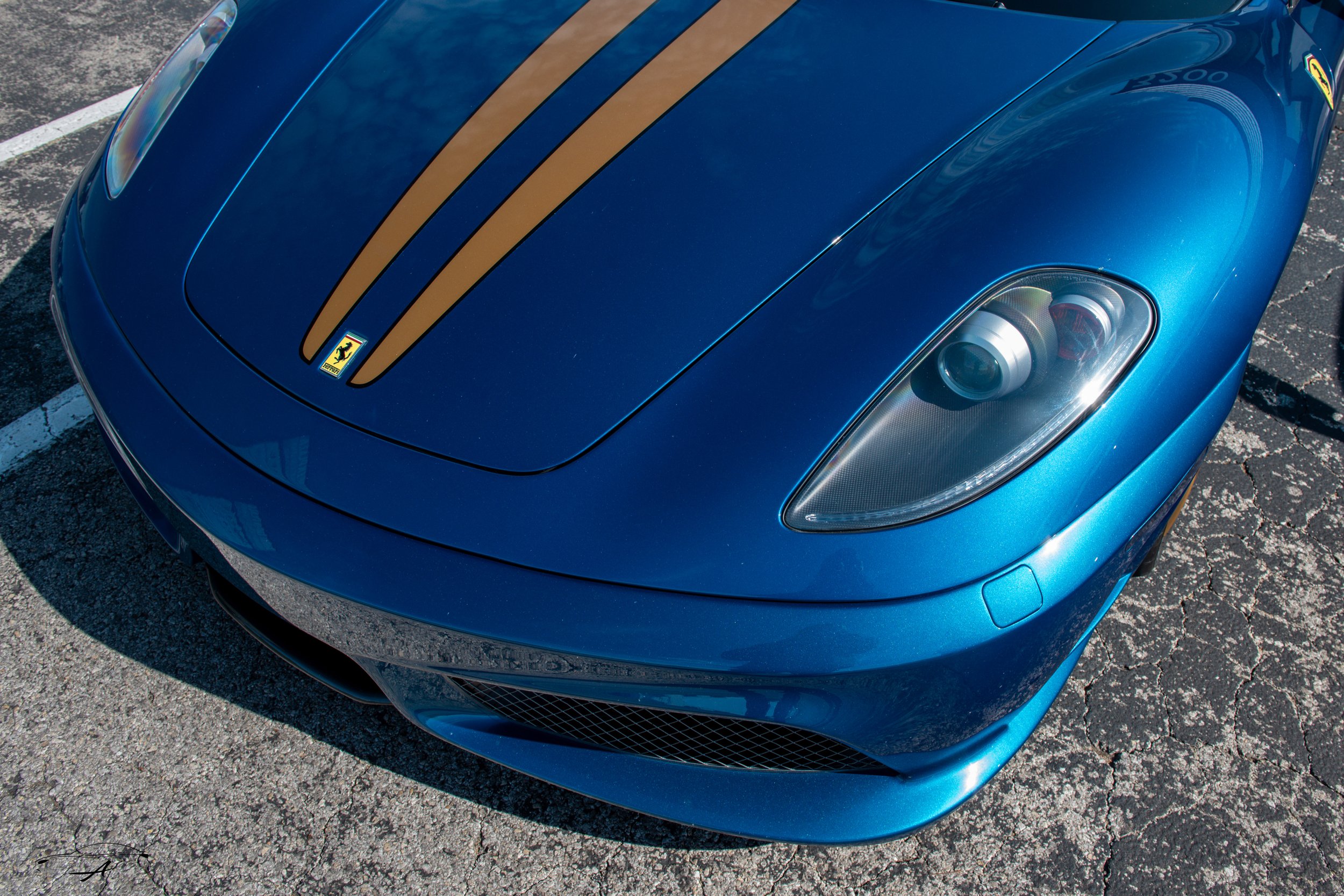 Portfolio-7-2.jpg