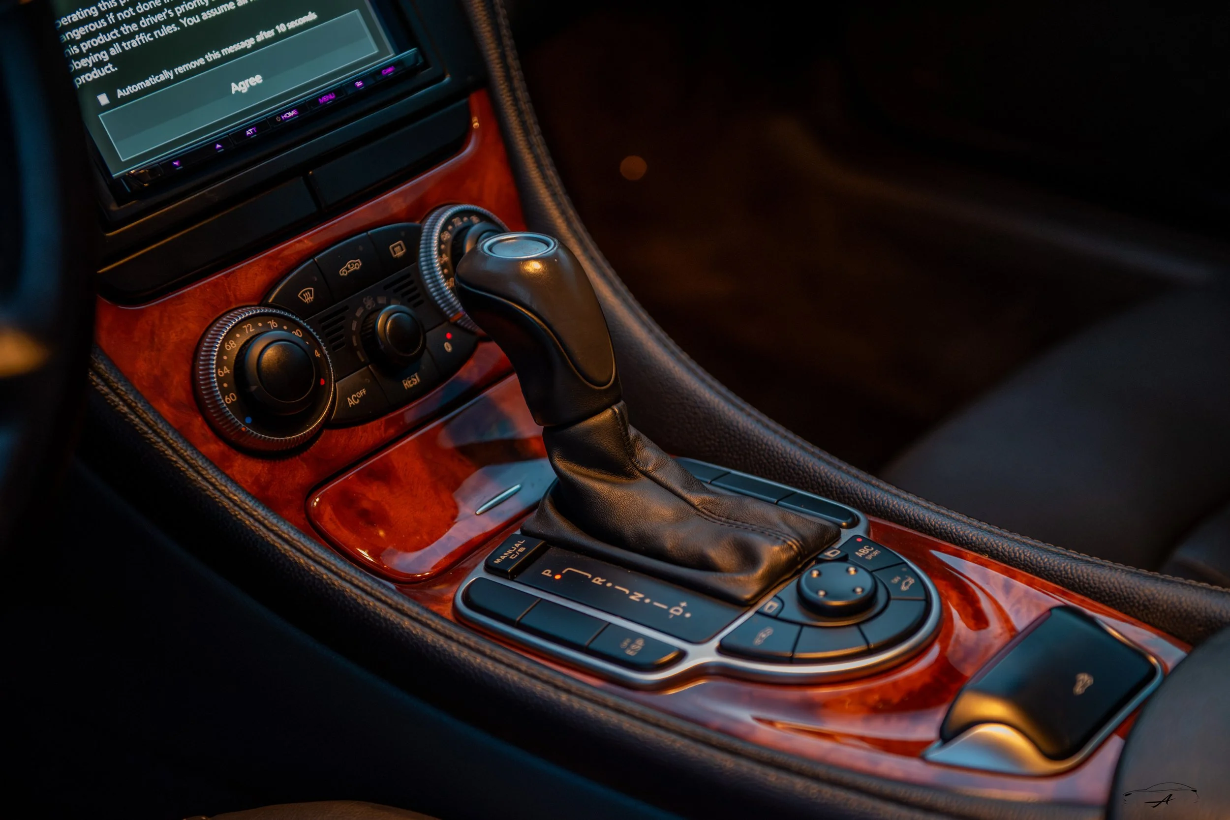 SL55-170-2.jpg