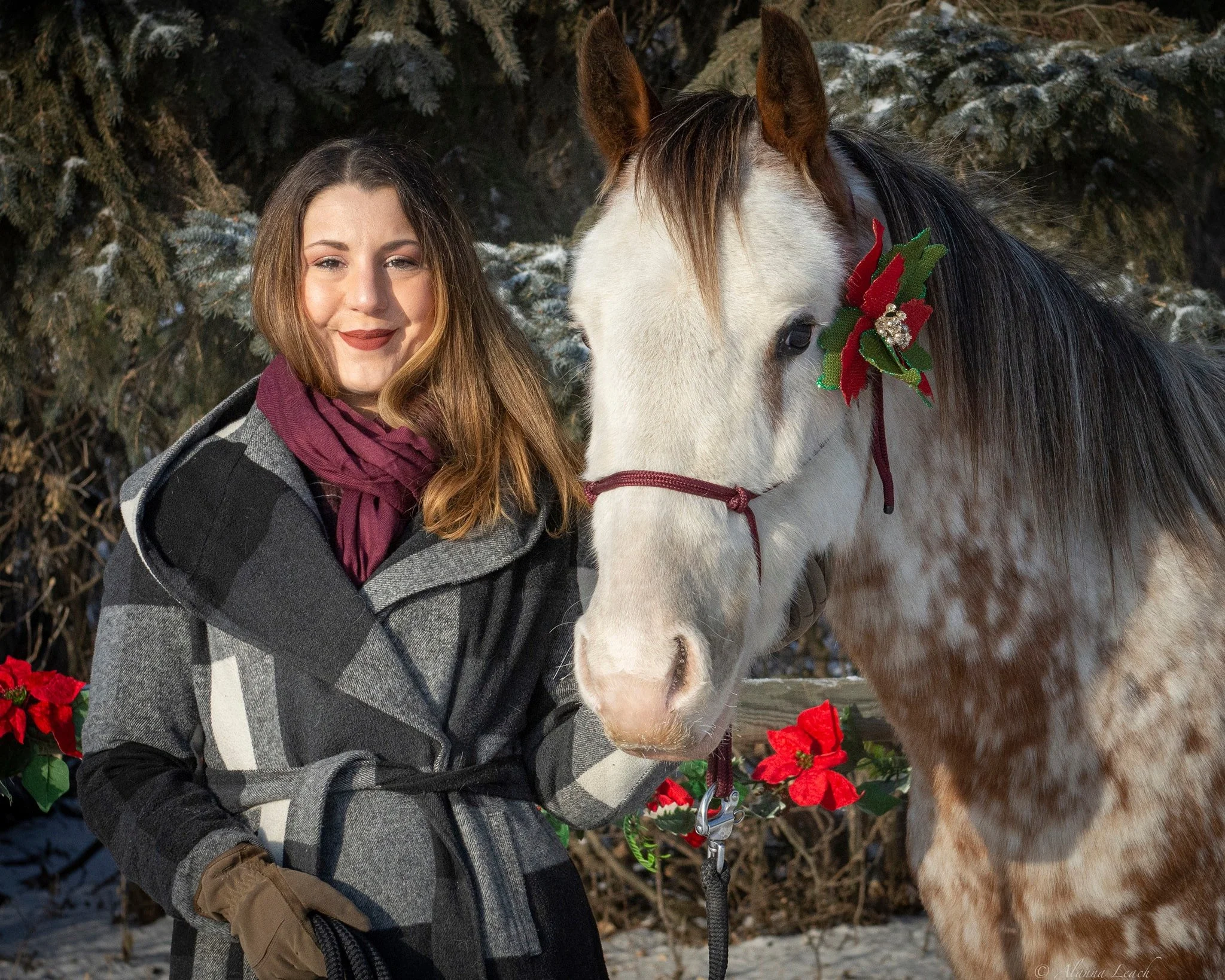 A young woman with long wavy brown hair, wearing a gray plaid coat with a belt and a dark red scarf, standing outside in winter with snow on the ground. She is smiling and holding a white and brown dappled horse's bridle, which is decorated with a red and green Christmas ornament. The background features snow-covered trees and red poinsettia flowers.