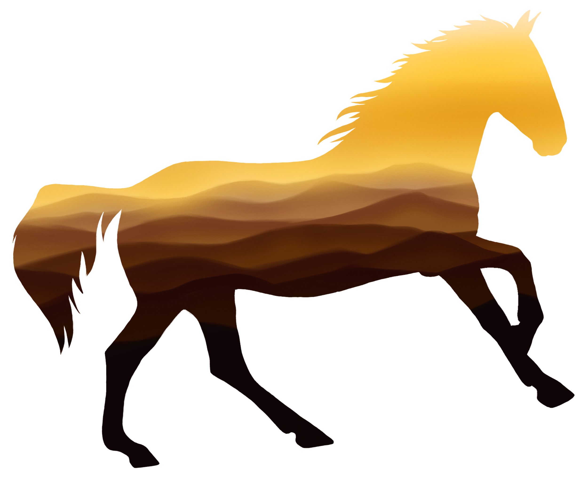 Artwork for Desert | The Wild Collection