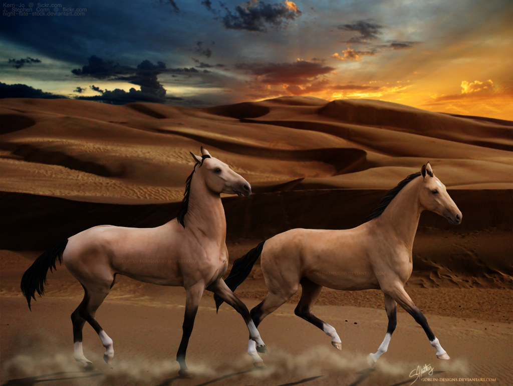 view link for stock artists!