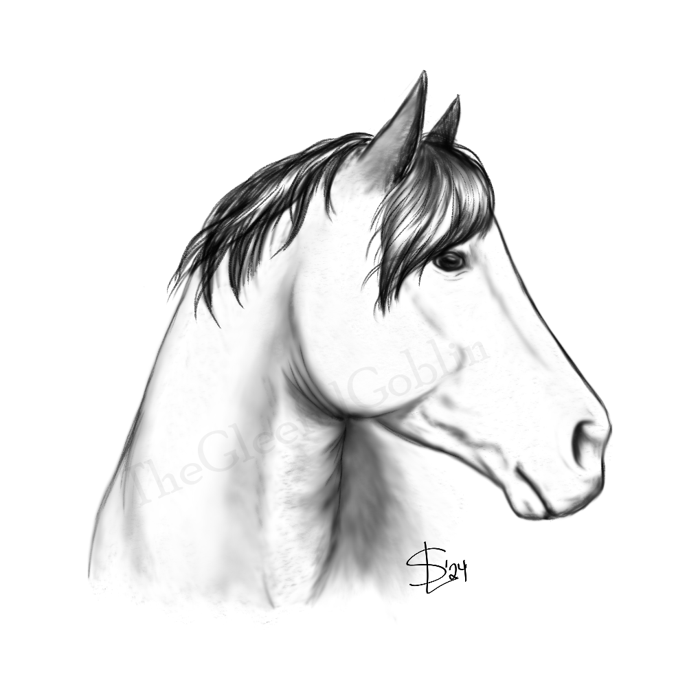 Black and white digital drawing of a horse's head in profile, with detailed mane and expressive features.