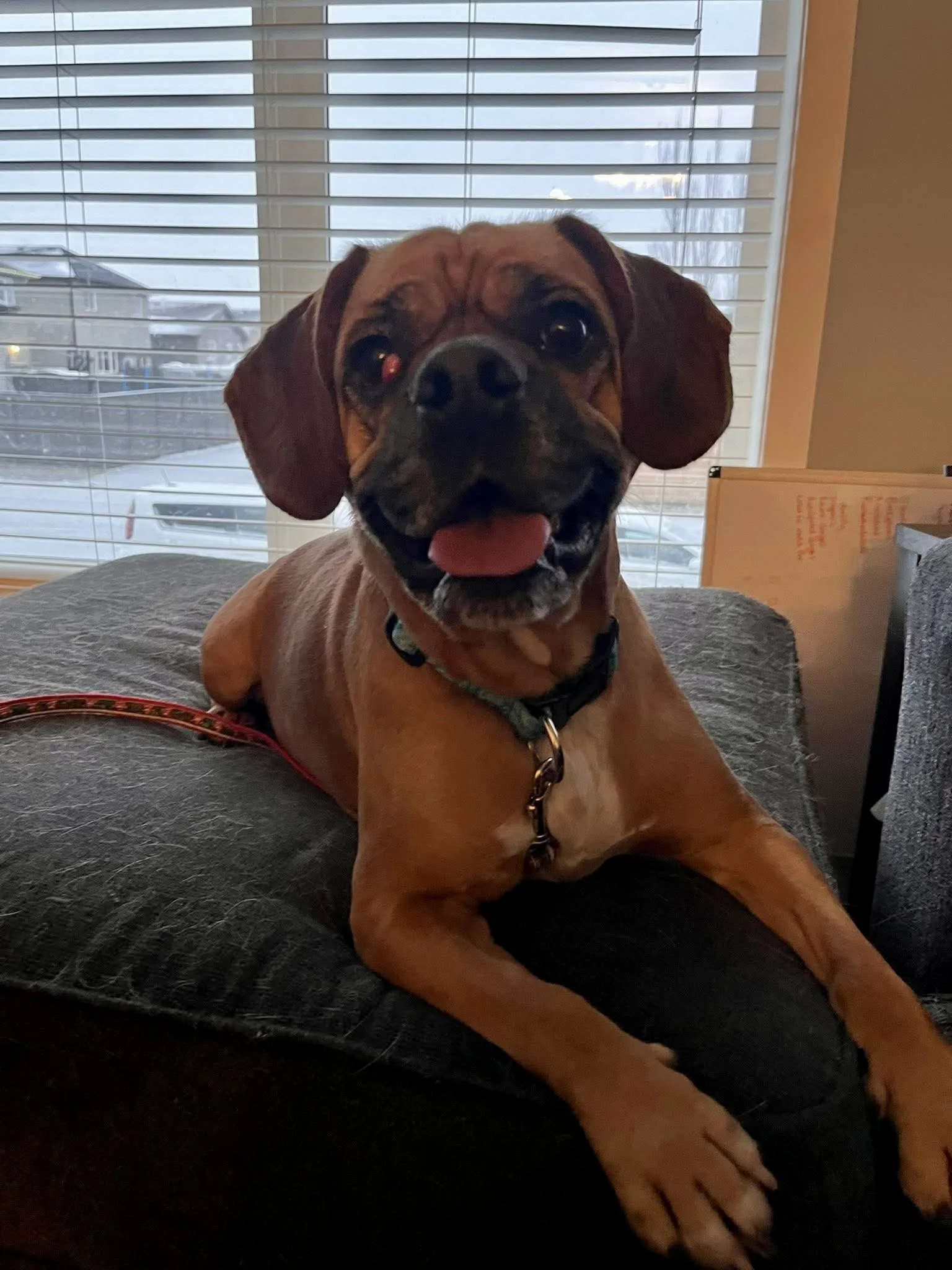 Wiley
