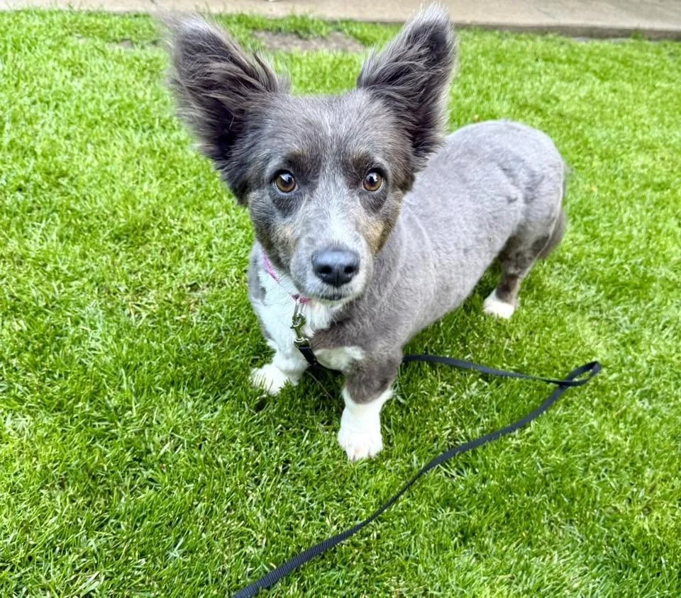 Zoe