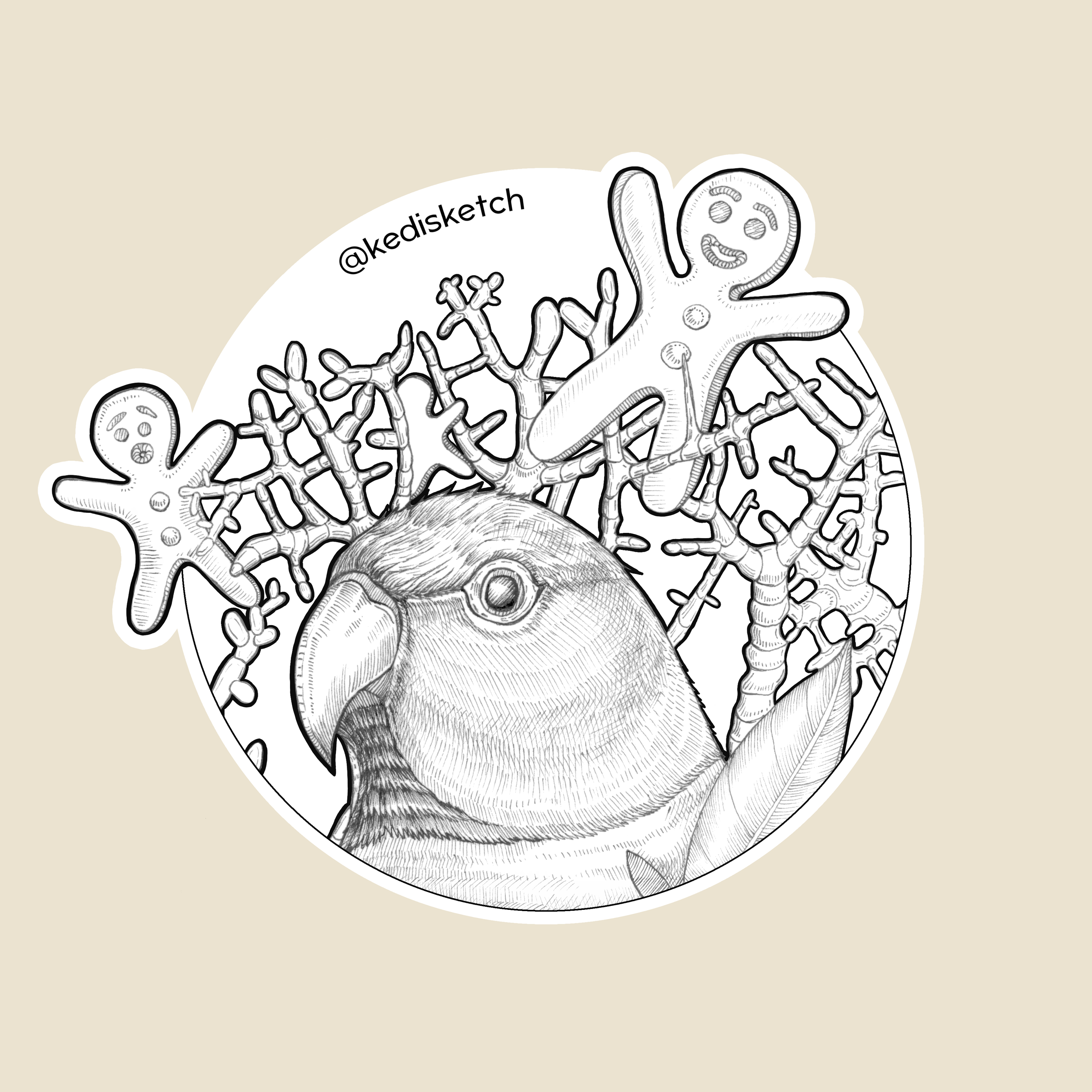 15.png