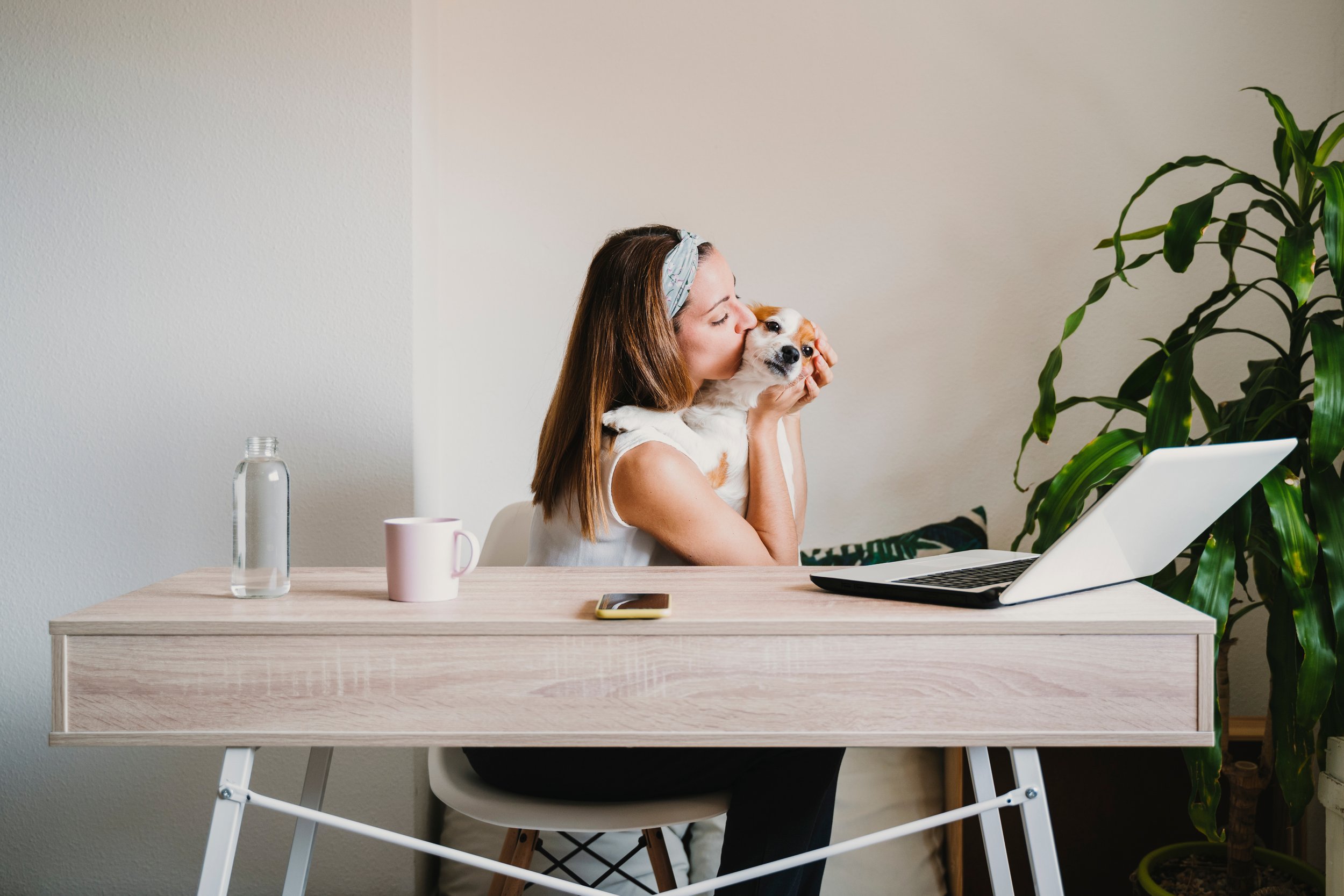 Email Automation Plans for the One-Person Show