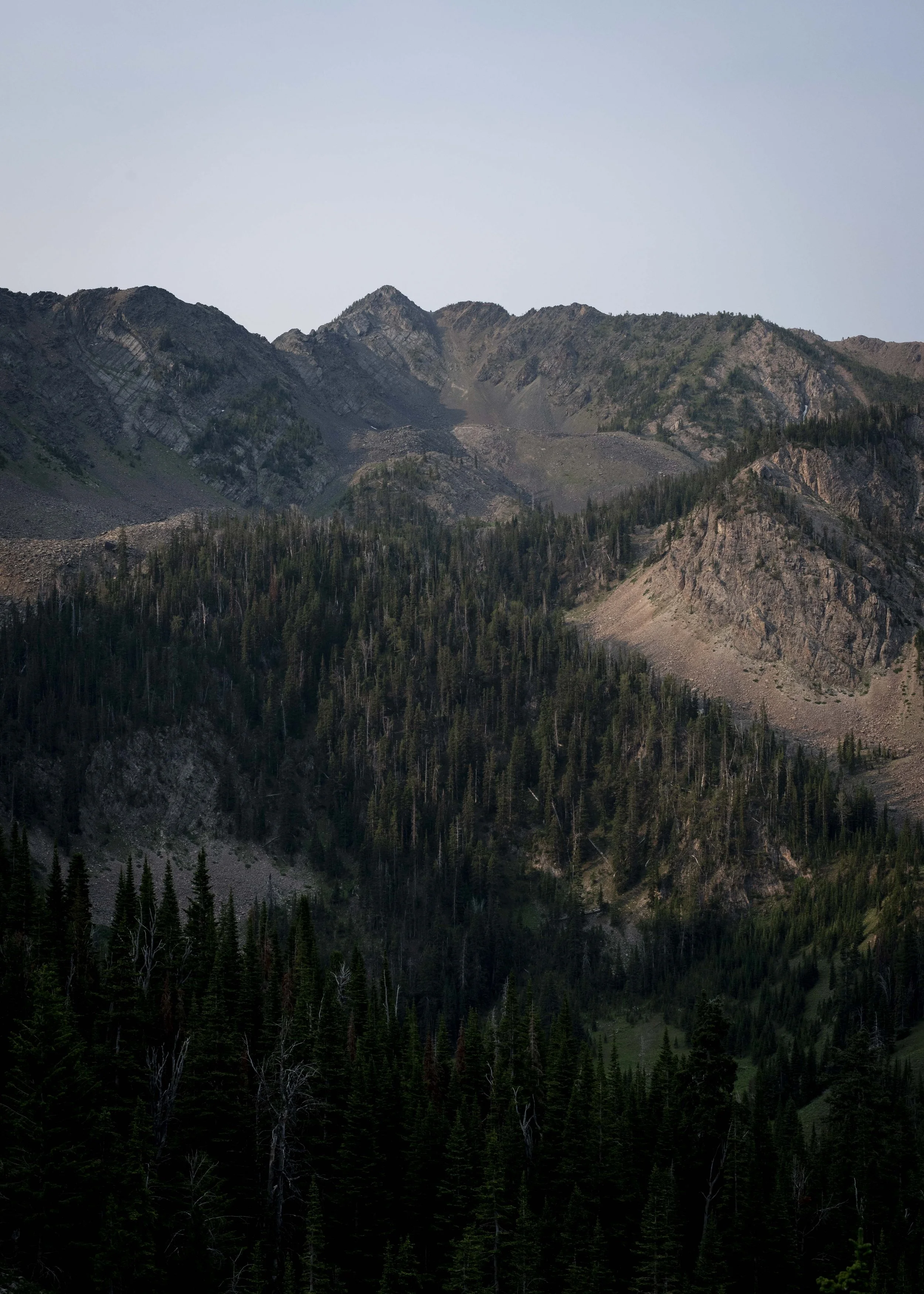 _PRR9927.jpg
