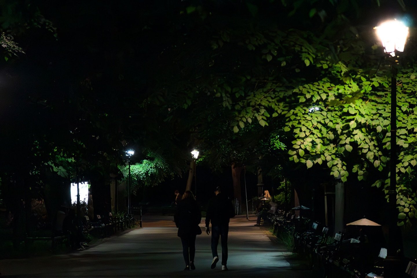 Krak&oacute;w, May 2025
DumboTeixeira&copy;

#KrakowVibes #StreetScenes #DiscoverKrakow #PolandPhotography #NightPhotography
