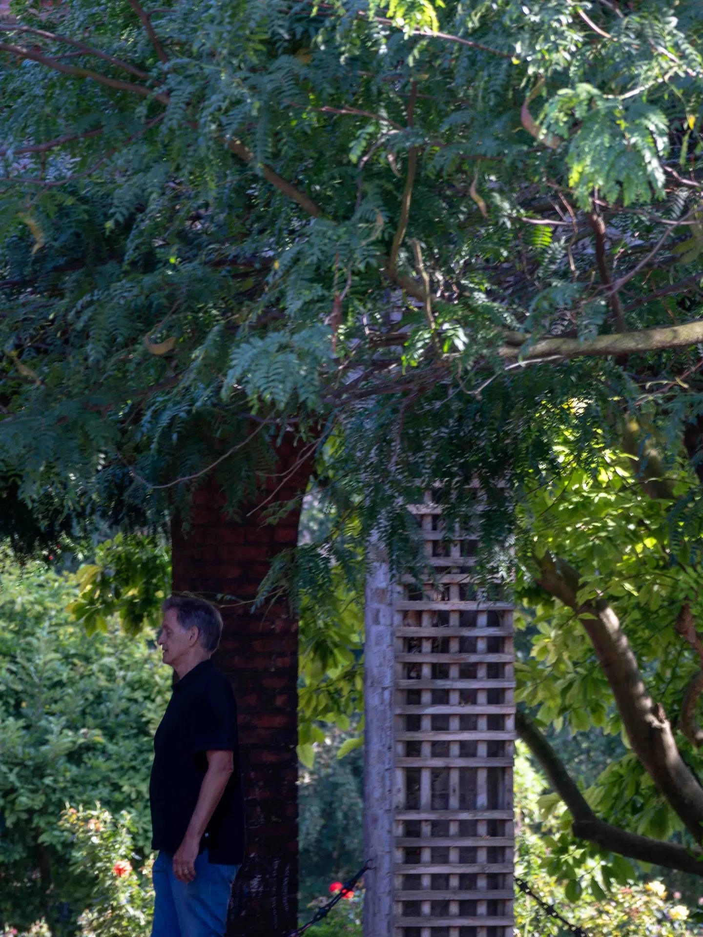 Holland Park, London, August 2025
DumboTeixeira&copy;

#StreetPhotography #LondonInFocus