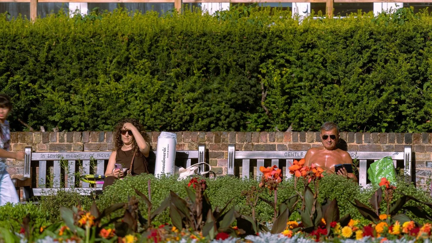 Holland Park, London, August 2025
DumboTeixeira&copy;

#StreetPhotography #LondonInFocus