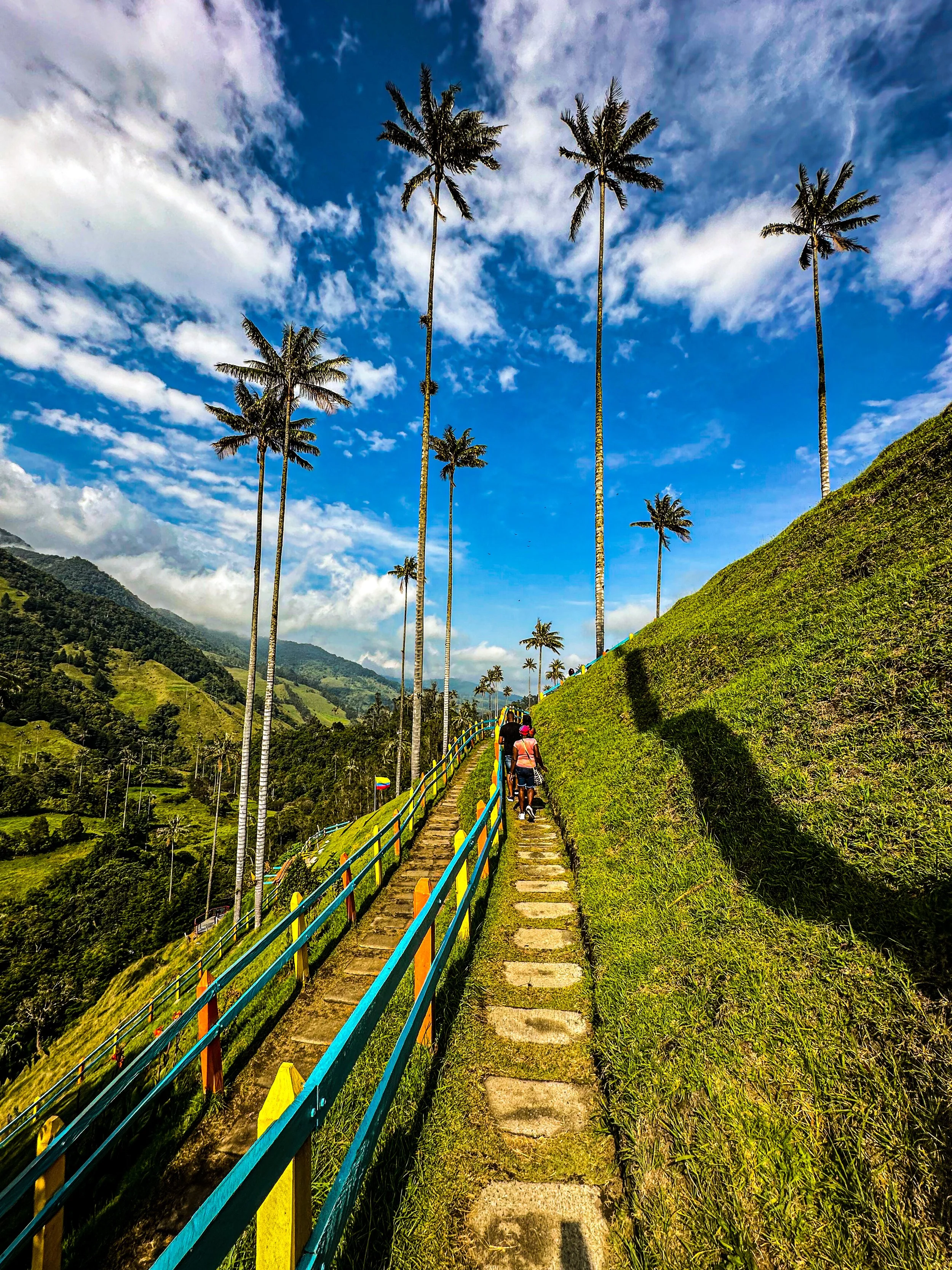 People walking along a narrow pathway with a railing on a lush green hillside, tall palm trees, mountains in the background, and a partly cloudy sky.