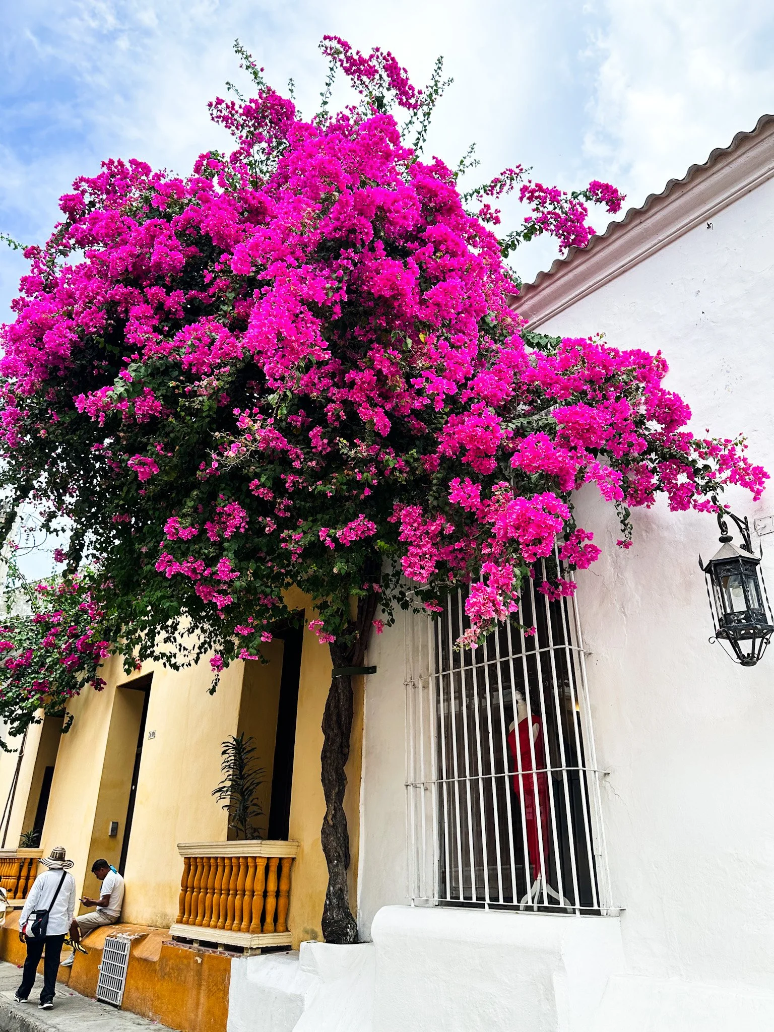 Let’s Passport Colombia