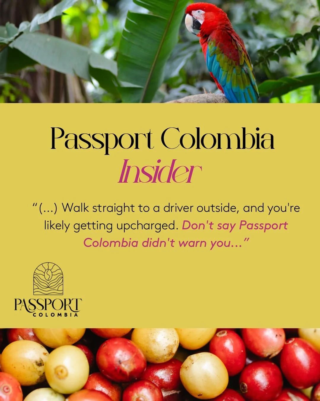 The 2nd edition of Passport Colombia Insider is finally here! You&rsquo;re about to read the kind of stuff I wish someone had told me the very first time I stepped off a plane into a country I had never visited before. 
.
.
.
Go check your inbox! If 