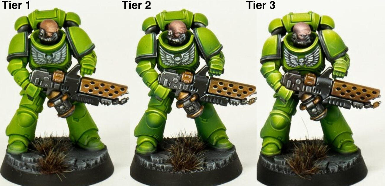 Tier (1).png