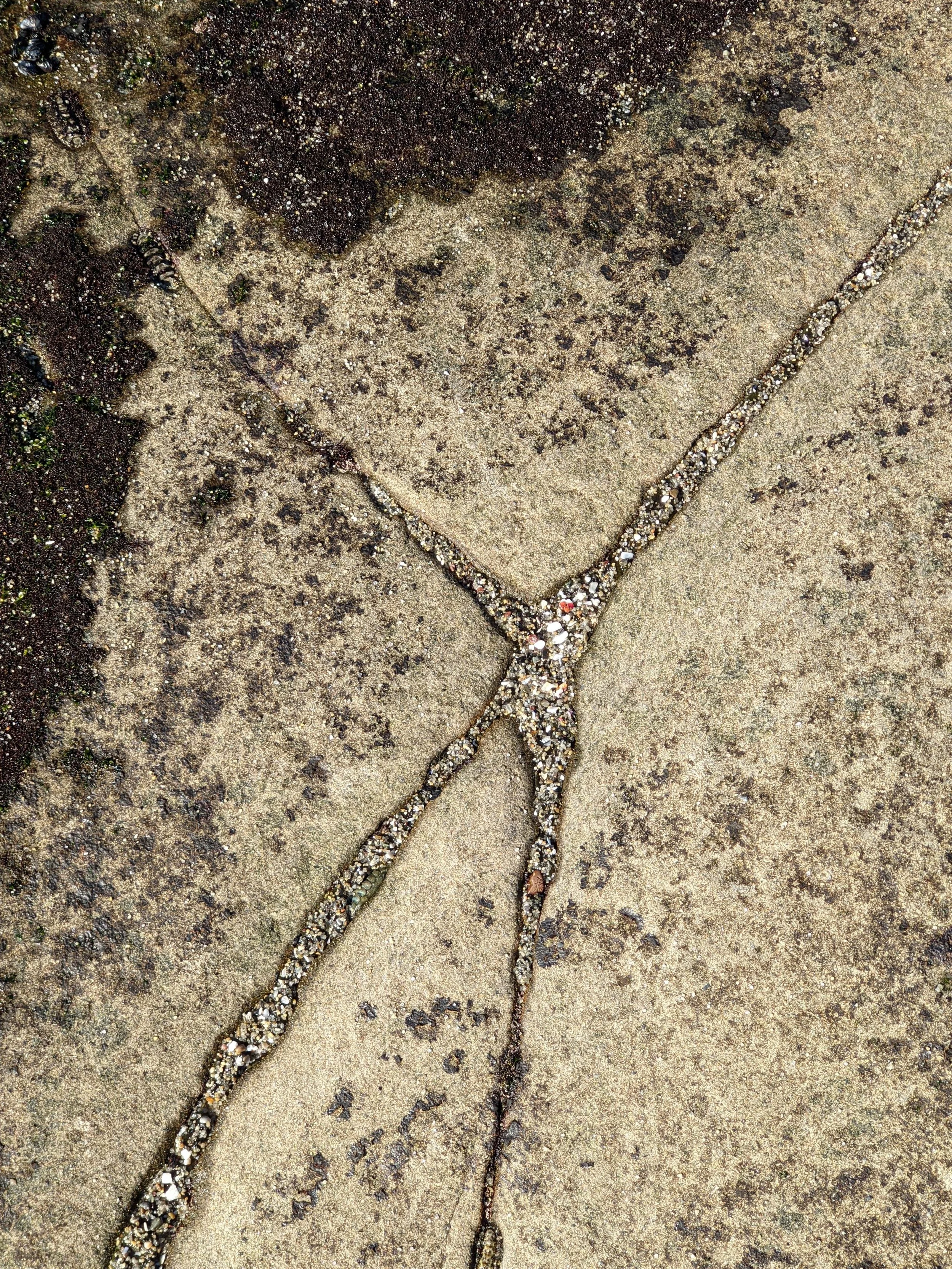 2022-01-02_16-12-03_691 (2022-10-05T04_01_24.154).jpg