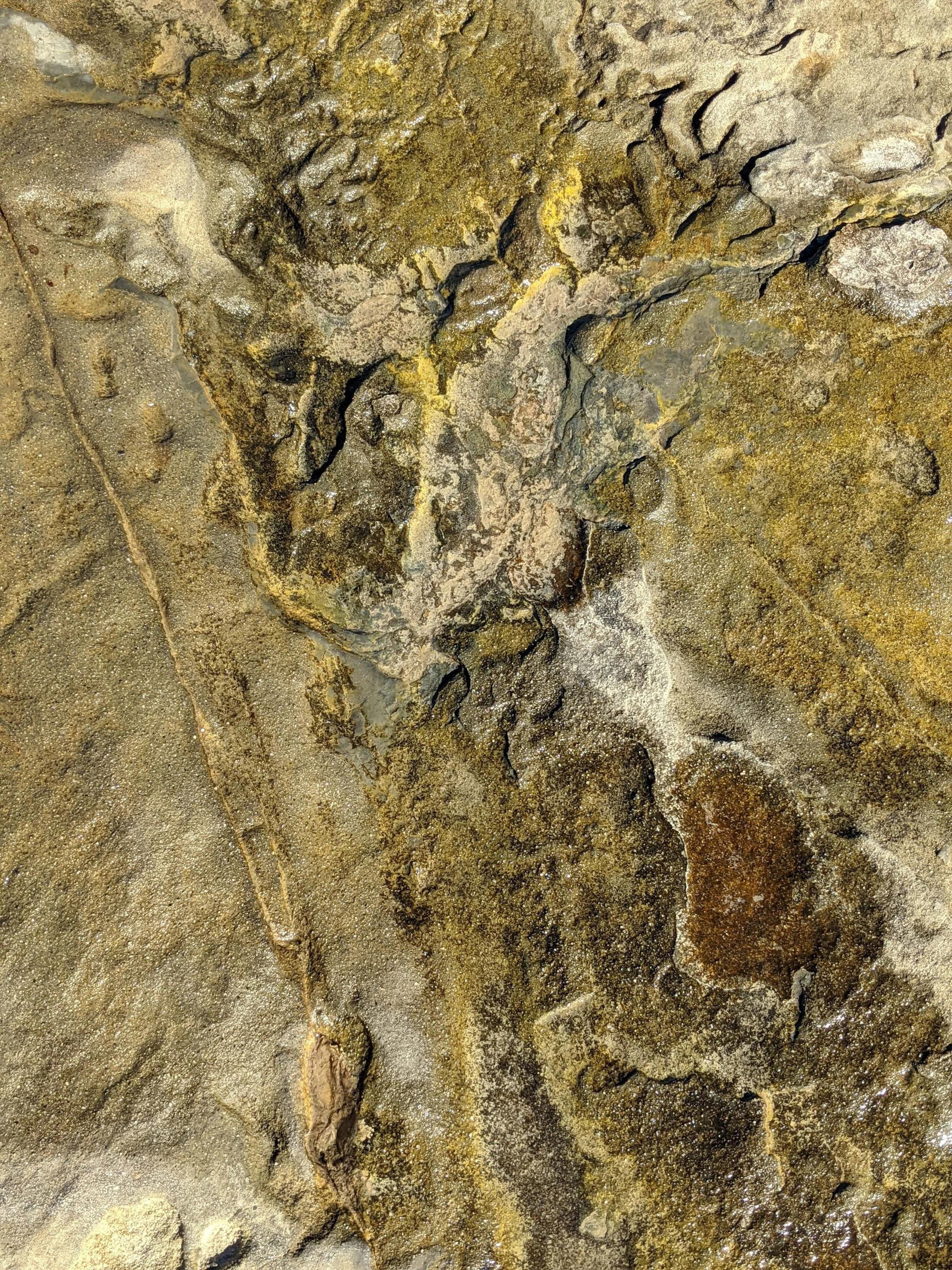 2022-01-02_16-03-52_908 (2022-10-05T04_01_42.630).jpg