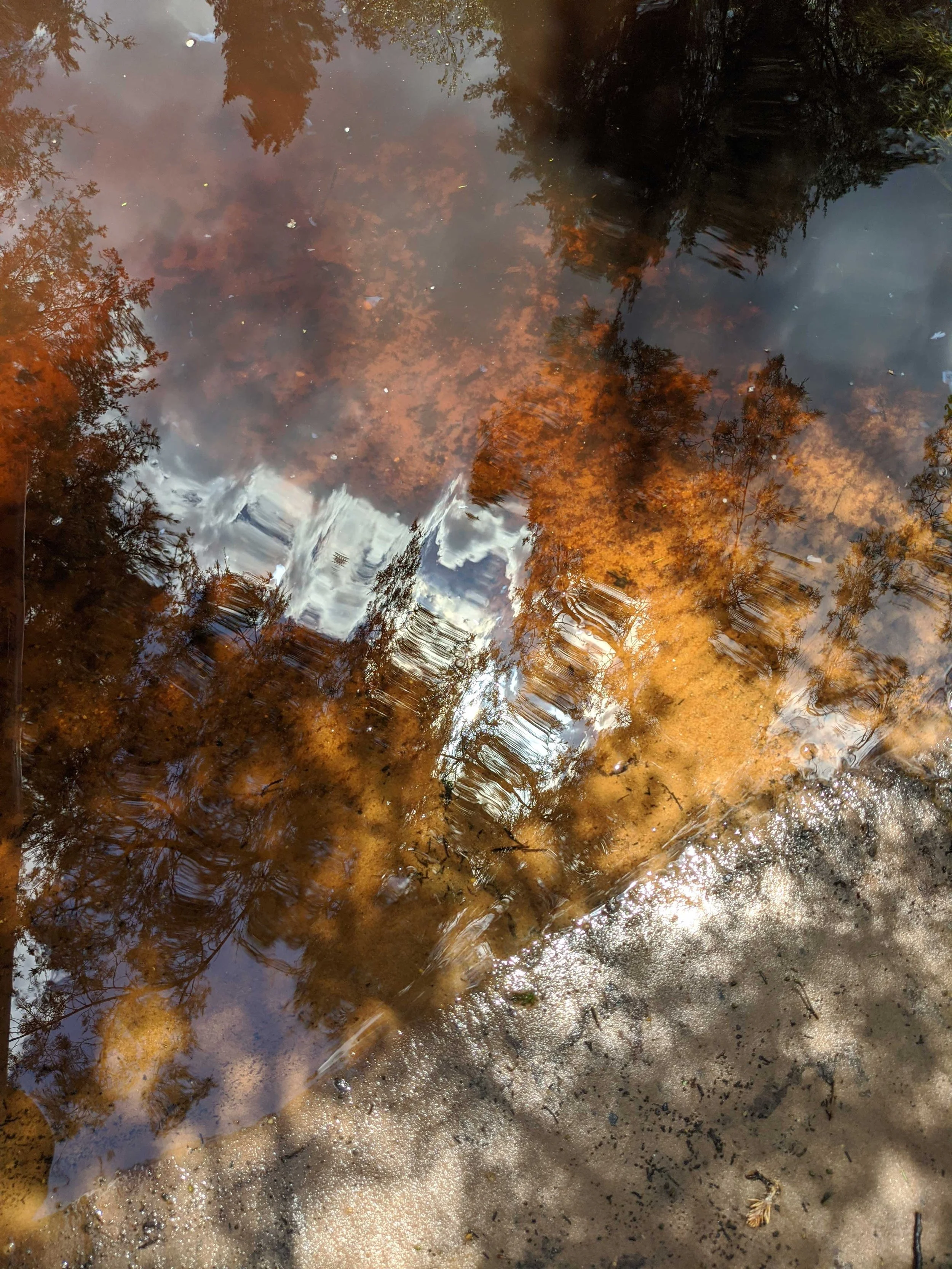 river-reflection_2_webres.jpg