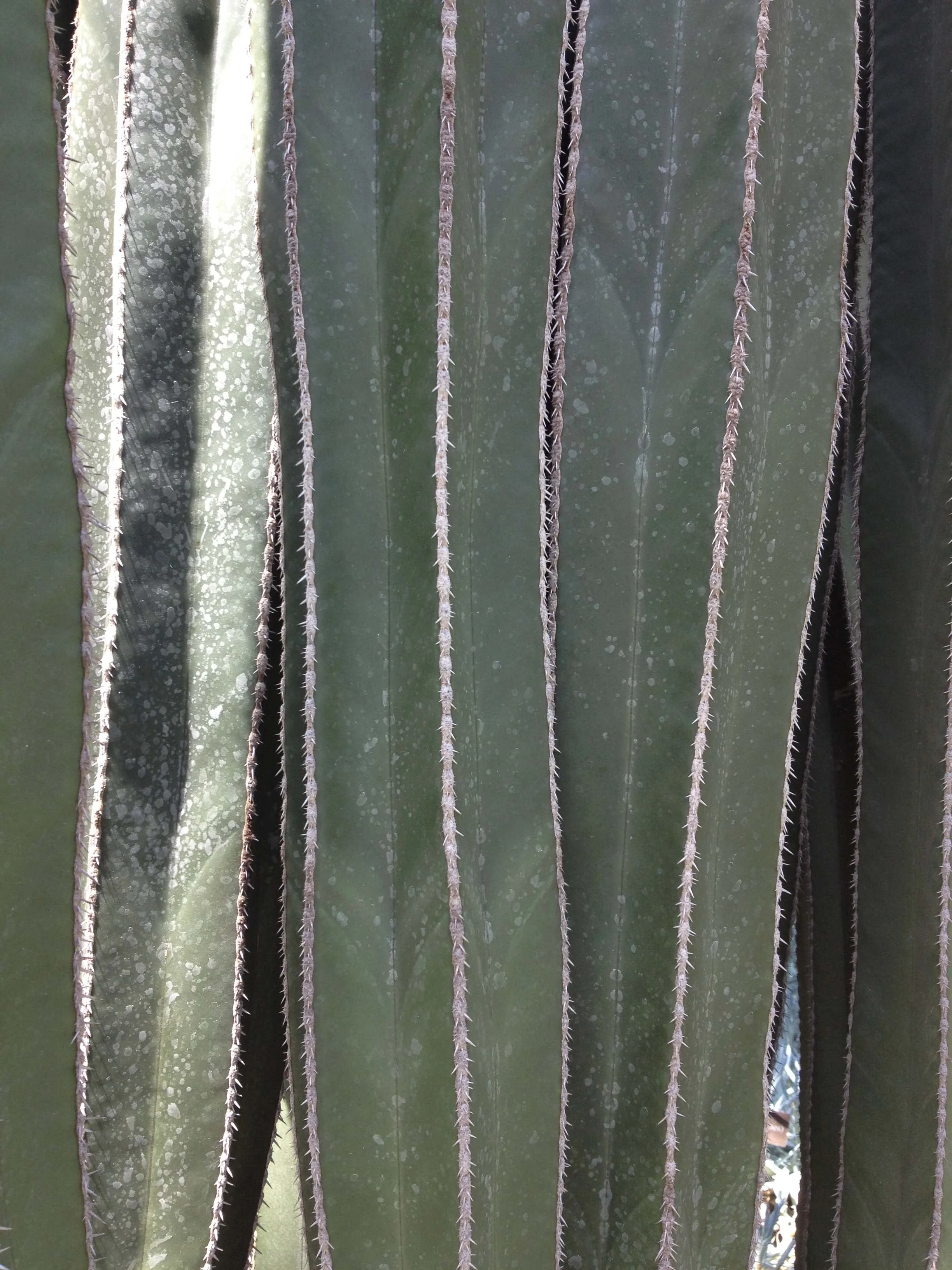 2014-iphone-import 7360.jpg