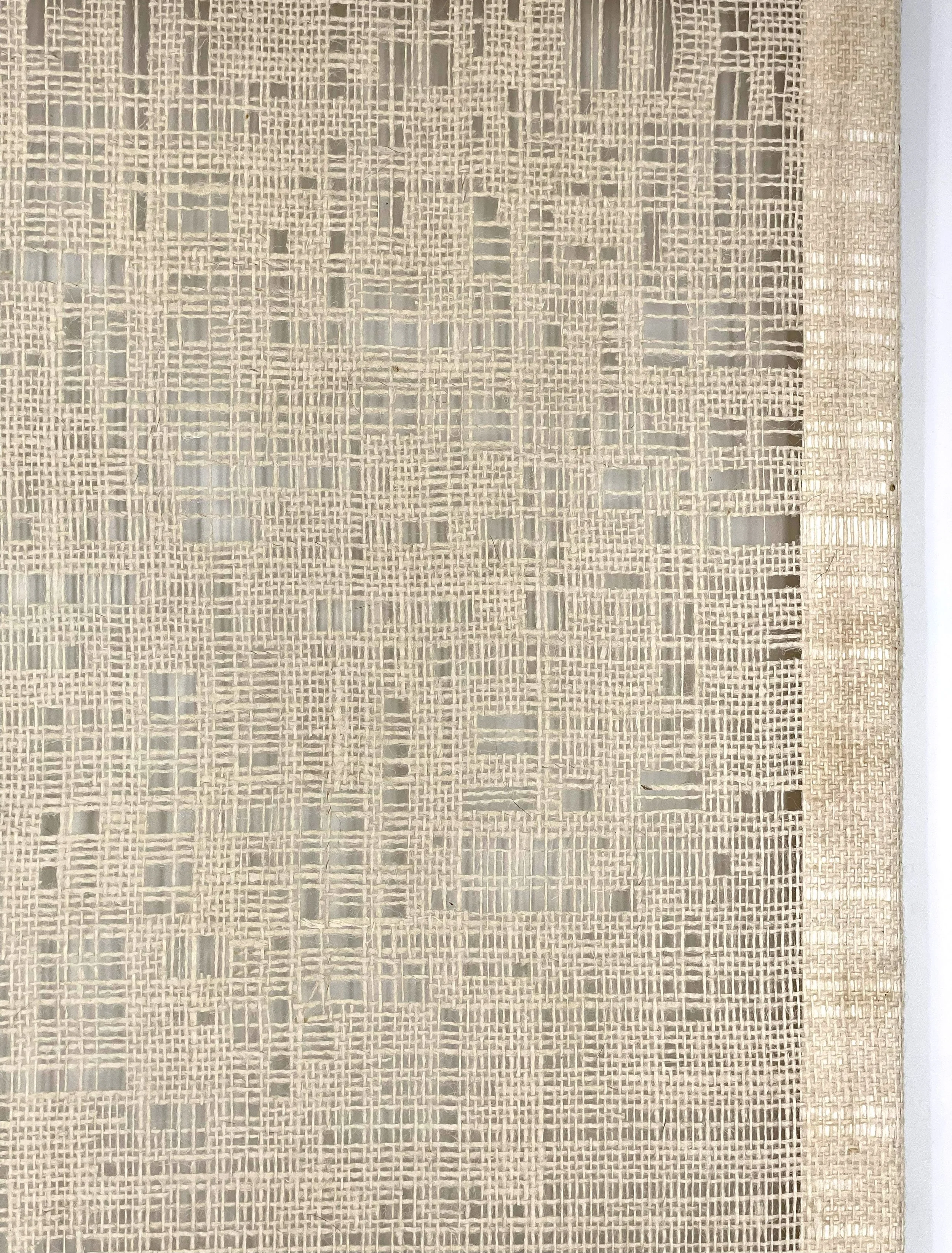 reductive plane_1_detail 1.jpg