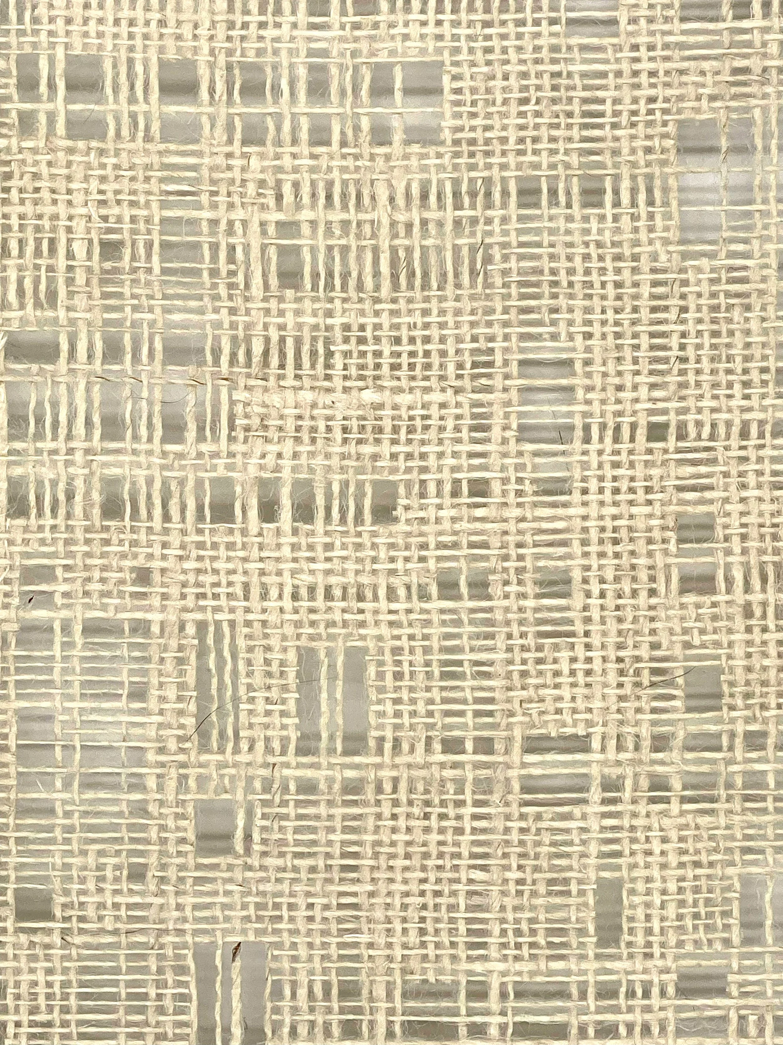 reductive plane_1_detail 2.jpg