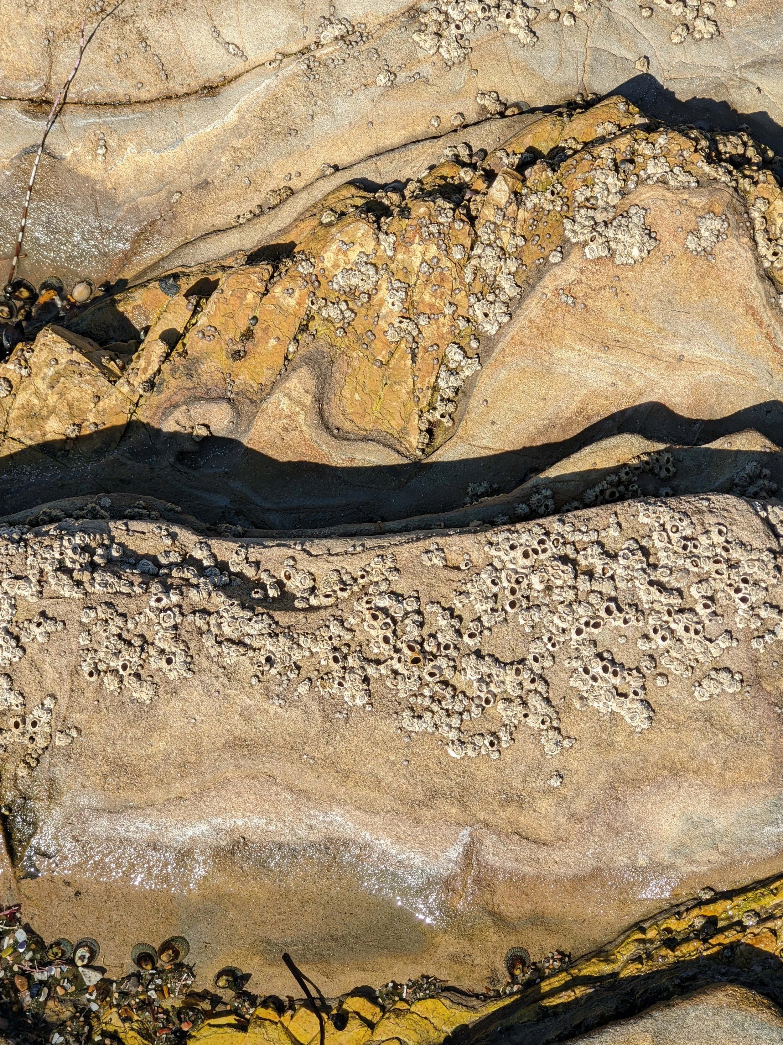 2021-12-27_14-53-54_569 (2022-10-05T05_04_49.902).jpg