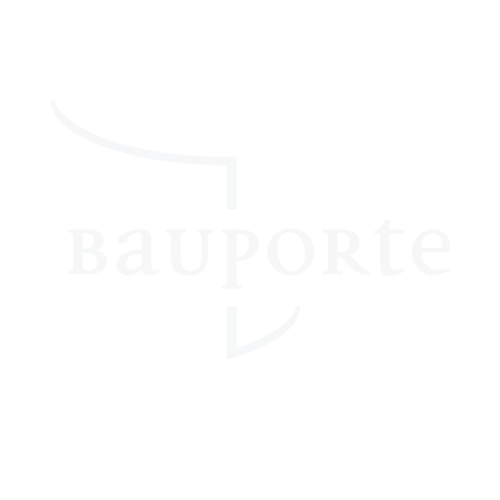Bauporte Logo Light.png