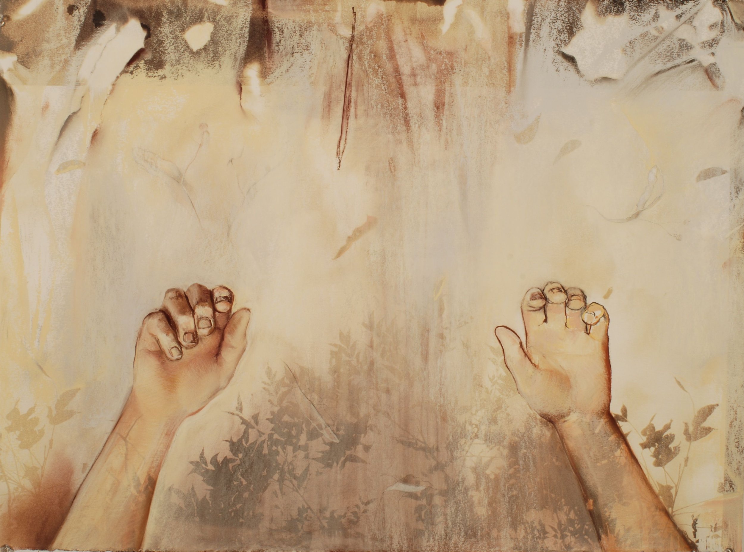 Reach, 22 x 30", Charcoal, pastel, and van dyke brown print on paper