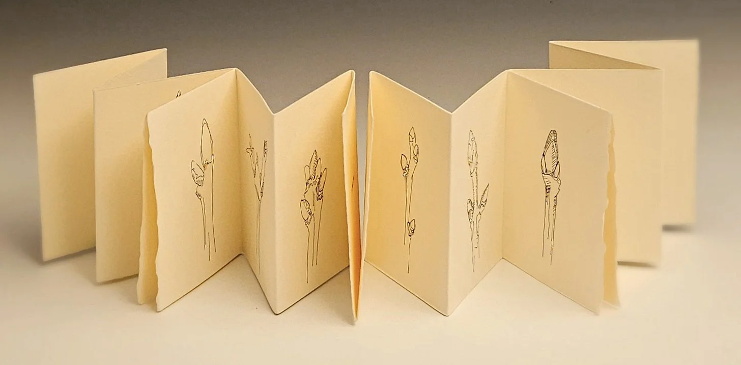 Soft Cover Accordion Book Workshop