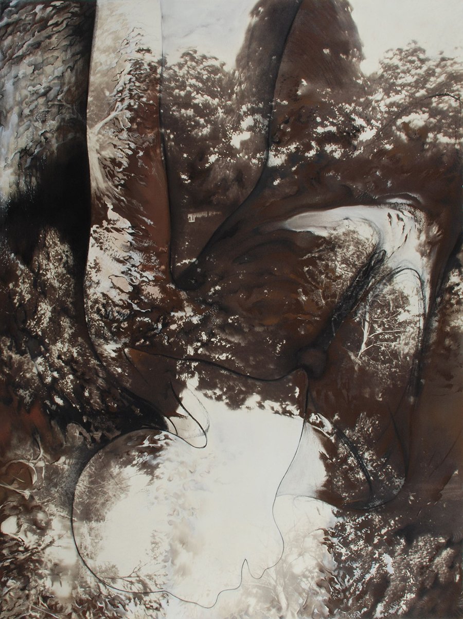Fall, 30 x 22", Charcoal, pastel and van dyke brown print on paper