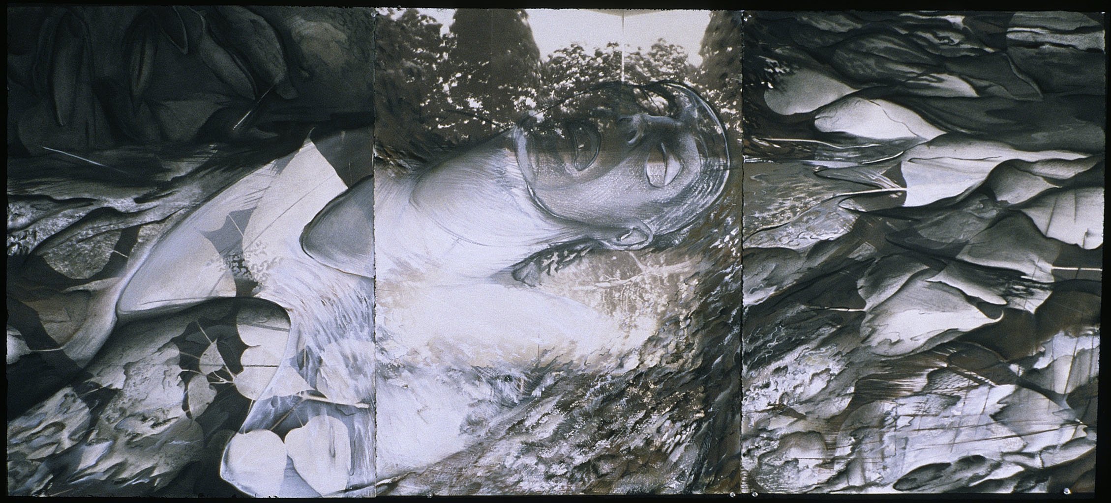 Blink, 30 x 66", Charcoal, pastel and van dyke brown print on paper