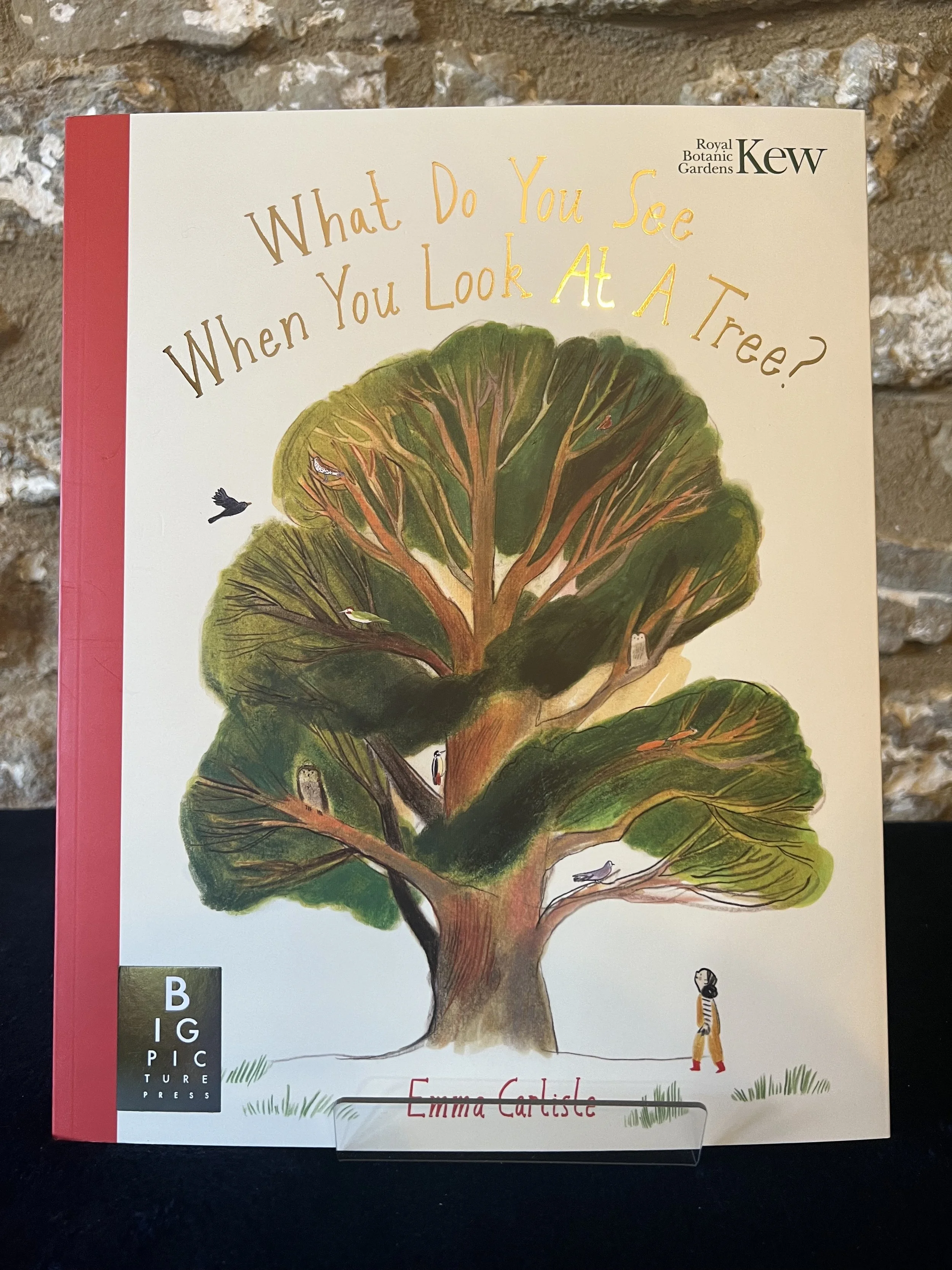 What do you see when you look at a tree?.jpg