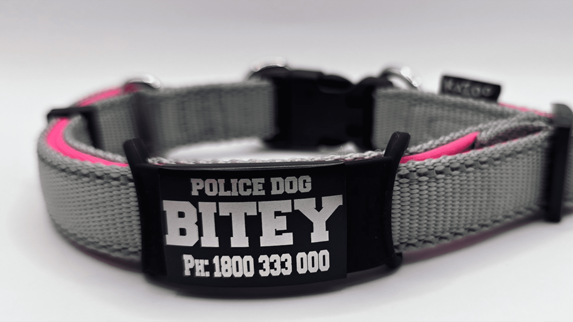 custom dog tags