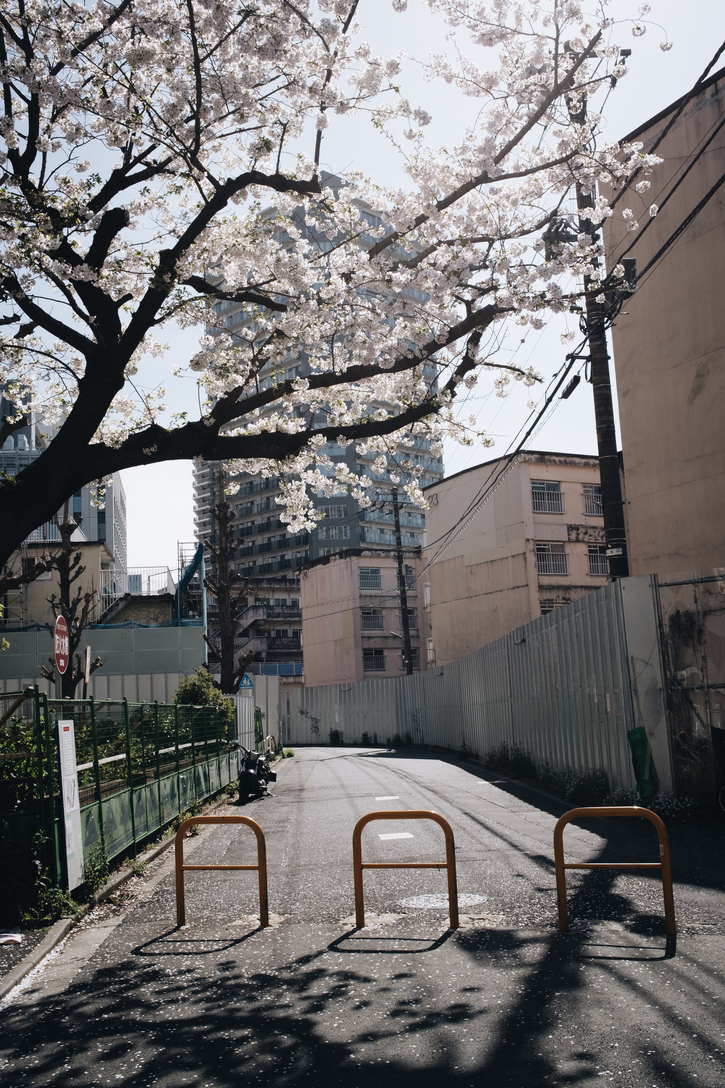 2024_tokio-133.jpg