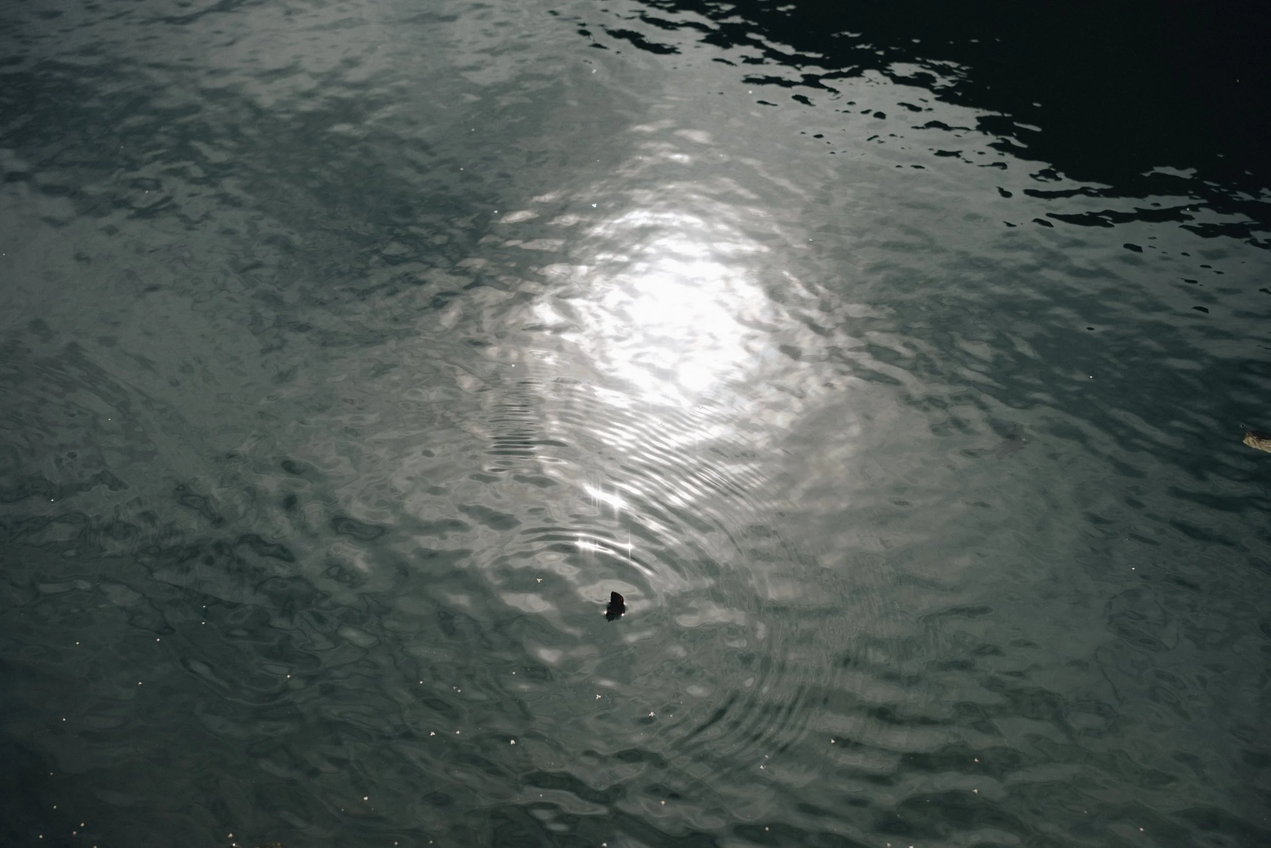 2410_cabinski_@aentonia-112.jpg