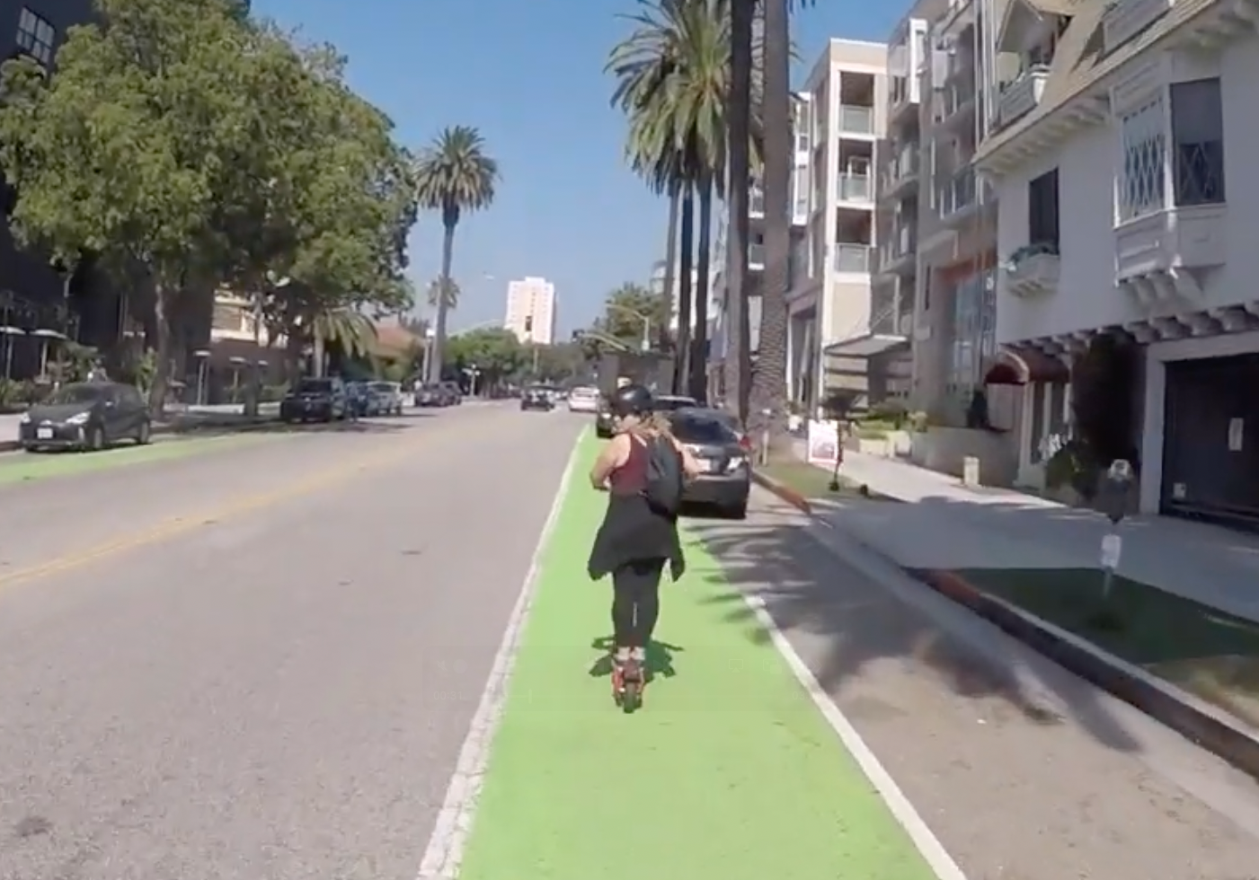 A person riding an electric scooter in a bike lane alongside palm trees