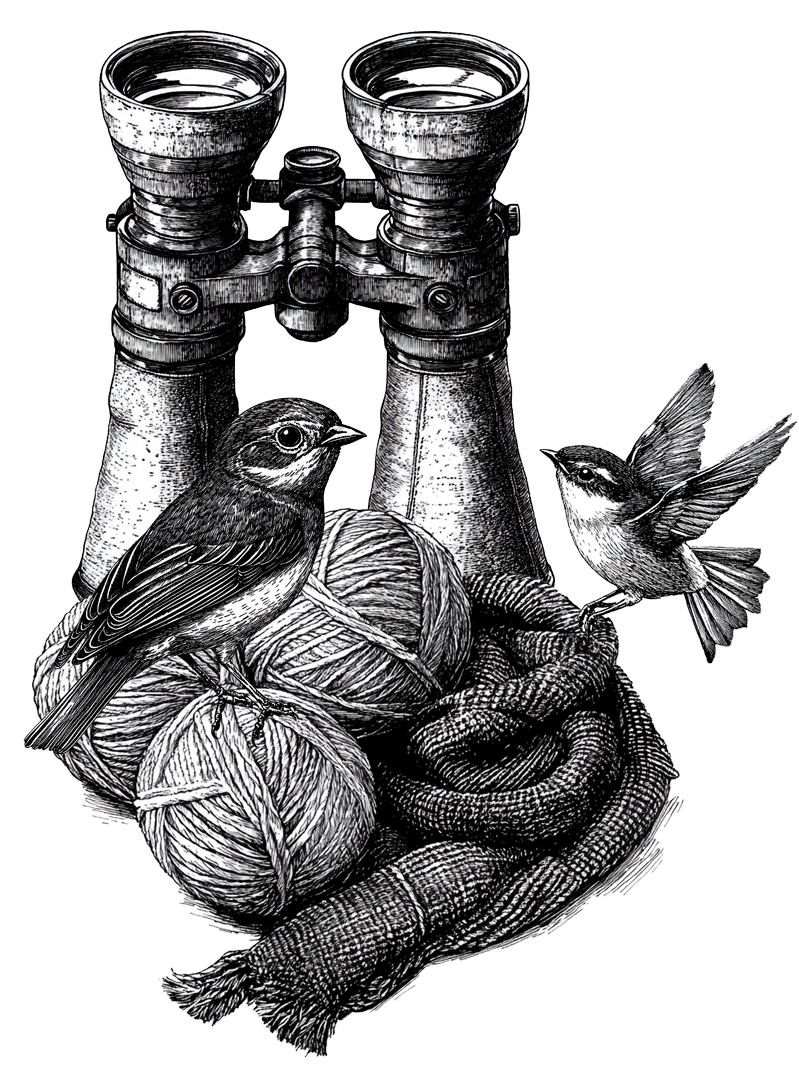 A detailed illustration showing two small birds resting among binoculars, balls of yarn, and a woven scarf, blending themes of birdwatching and knitting