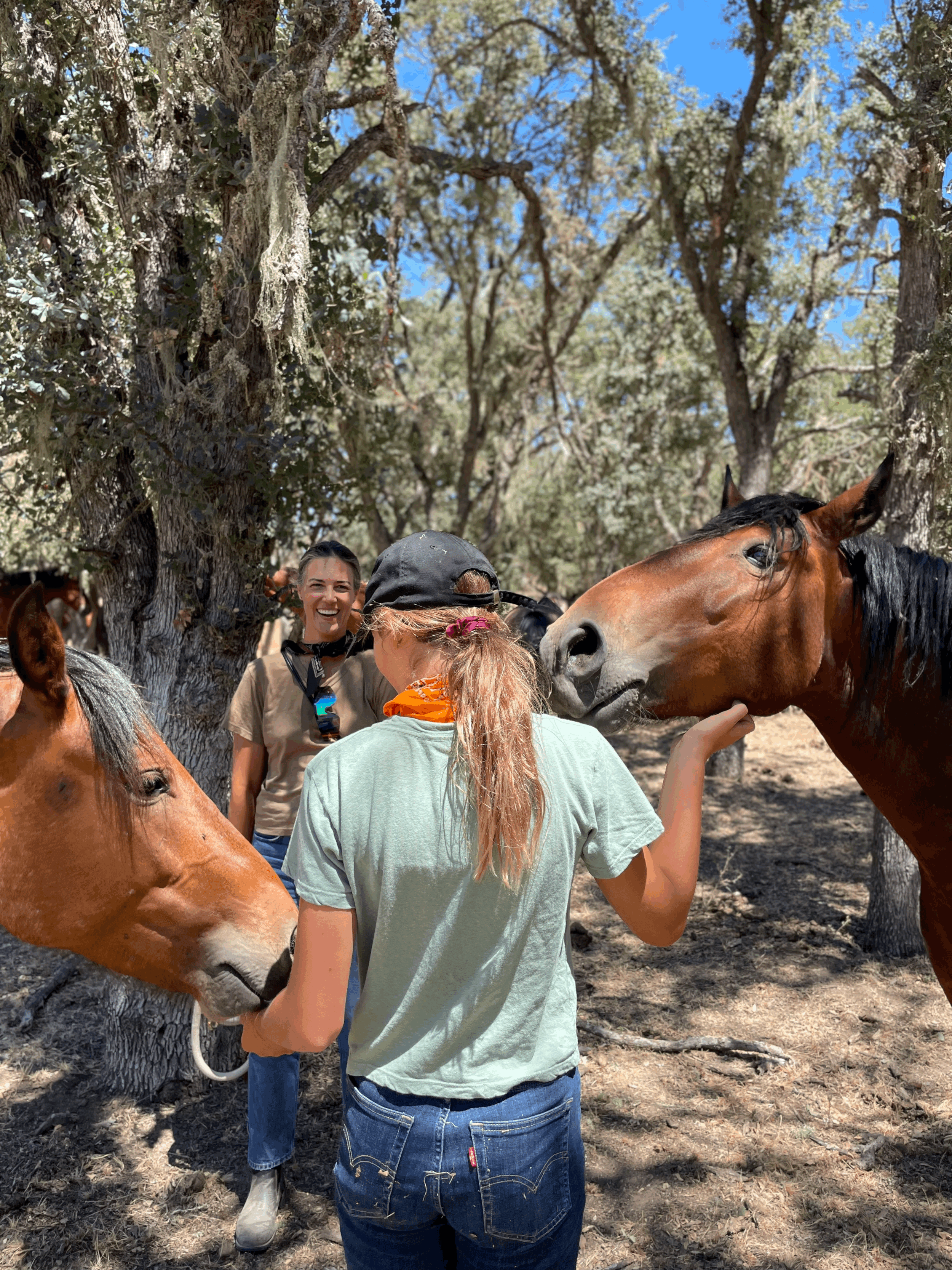Flag Ranch Sanctuary, Paso Robles; Summer Equine Guided Empowerment® Private 1-2 Day retreats with Cassandra &amp; the herd.