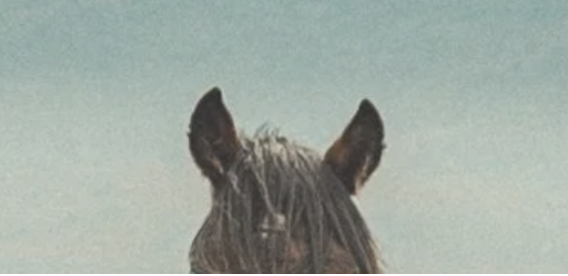 Pre-Recorded Webinar B1: Somatics and Reprogramming with Taren Maroun &amp; Cassandra Ogier