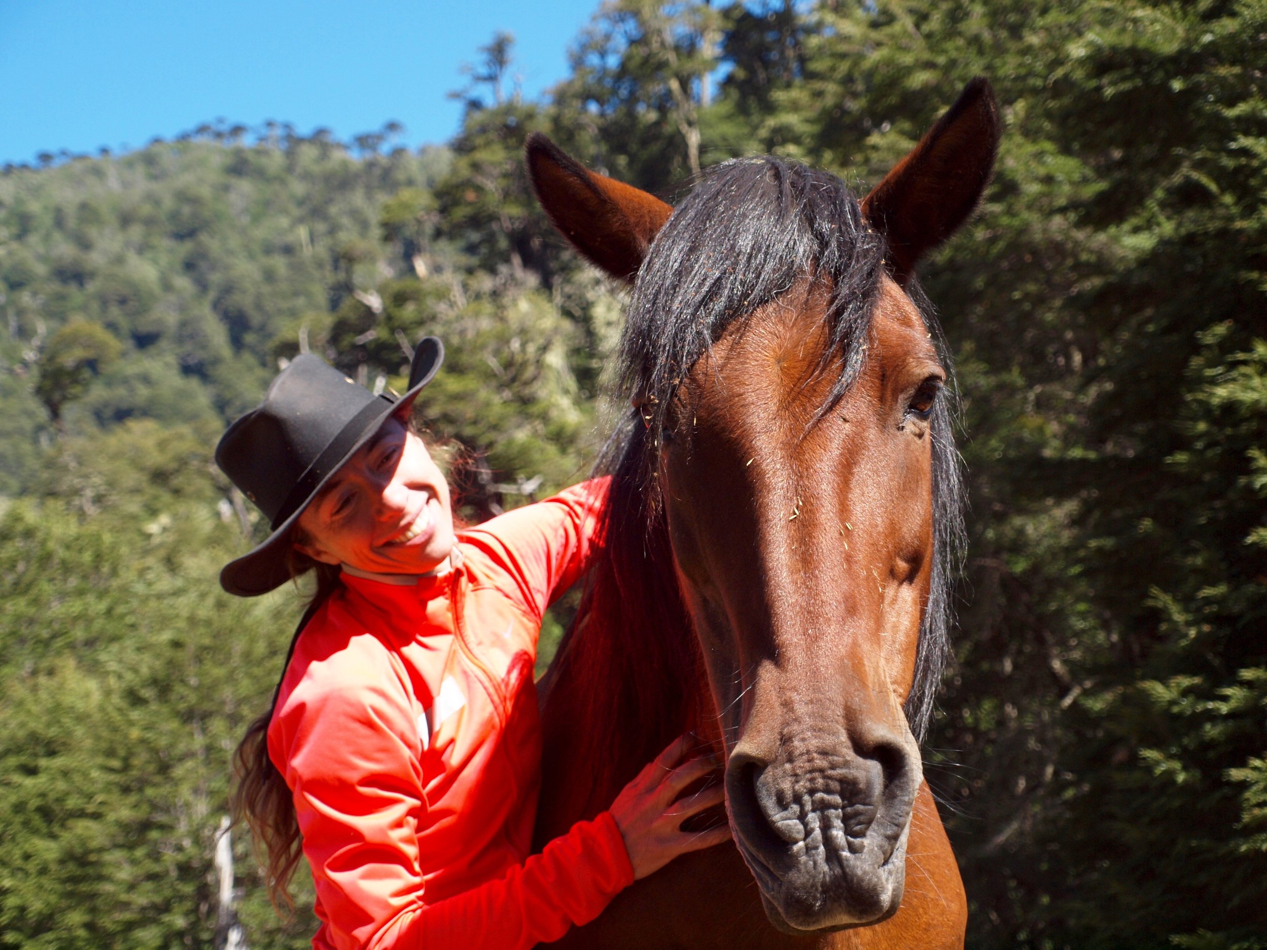 A FREE Webinar Series: The Era of Horsewomanship with guest speaker Greta Matos