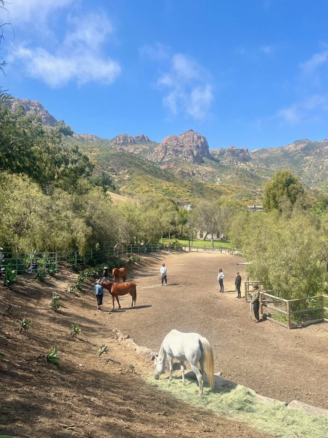 Embodied Horsewomanship® — A Transformational Weekend Experience — ‘Awa’y Malibu