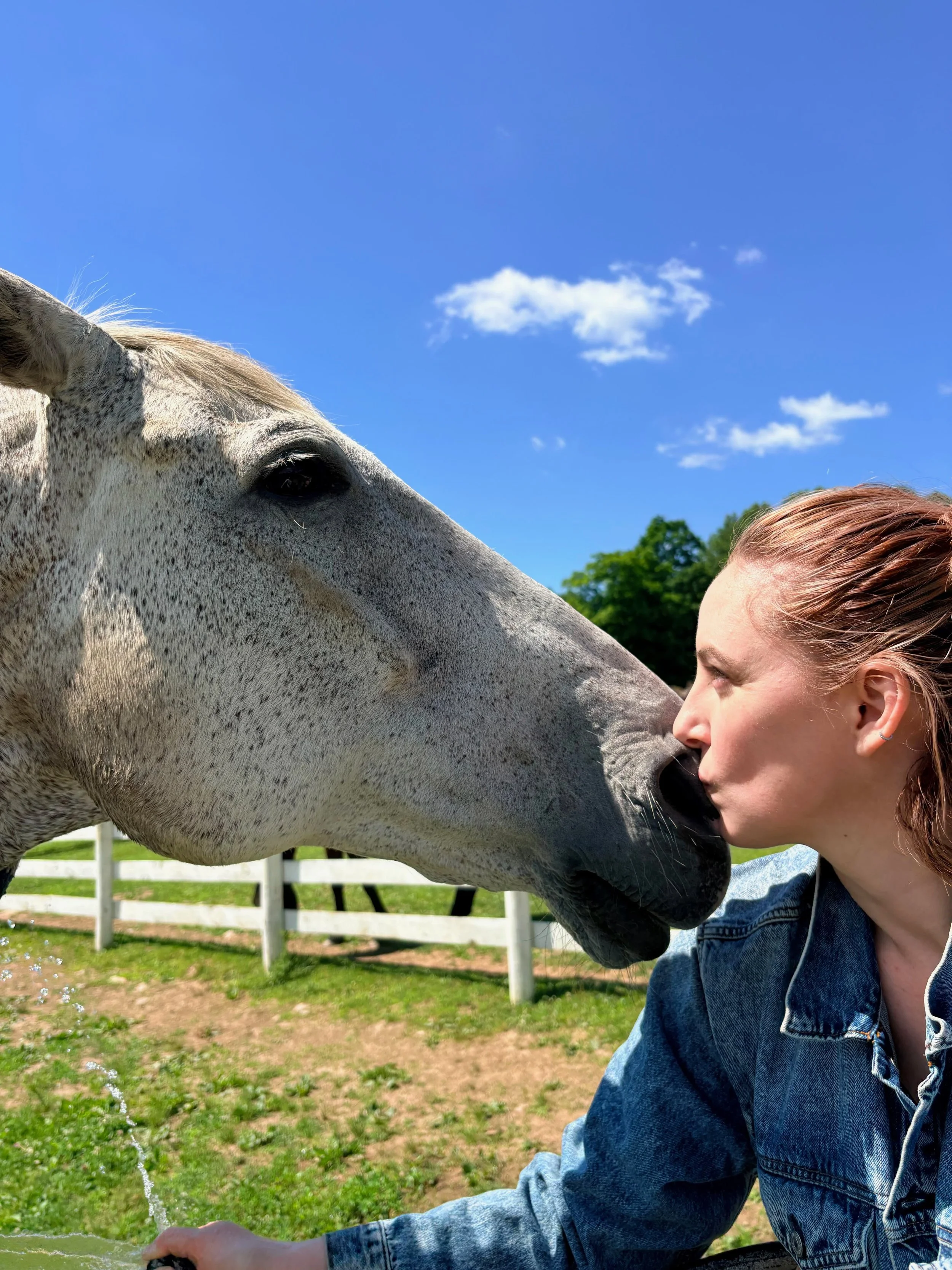 Lauren Rohs | Faculty | New York