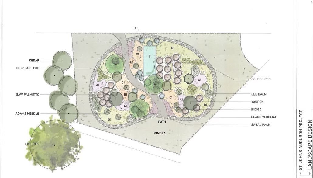 💥BIG UPDATE 💥

After 1.5yrs of designing, planning, redesigning and numerous meetings the St Augustine Welcome Center  garden has been approved! This large scale garden sponsored by @stjohnsregionalaudubon will be positioned in the heart of downtow