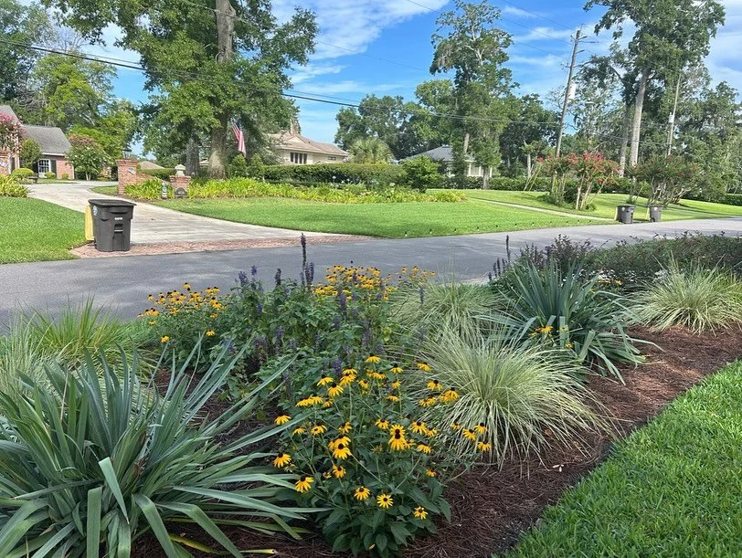 Wild spaces in urban places. Check out our native planting projects that are flourishing in the city. These gardens not only provide a habitat for wildlife but are also stunningly beautiful. #nativeplants #jaxnatives #nativelandscaping #ecofriendly #