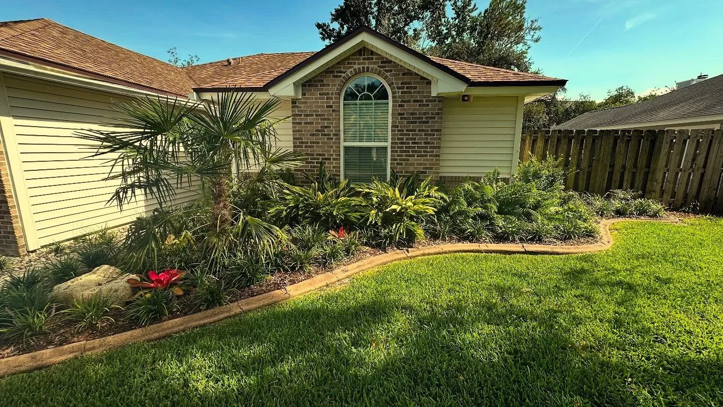 Shrub-ocalypse to paradise! We revamped this compact garden with hardy Florida friendly plants, creating a lush and inviting space filled with tropical foliage and year-round blooms. #gardentransformation #beforeandafter #floridafriendlylandscaping #